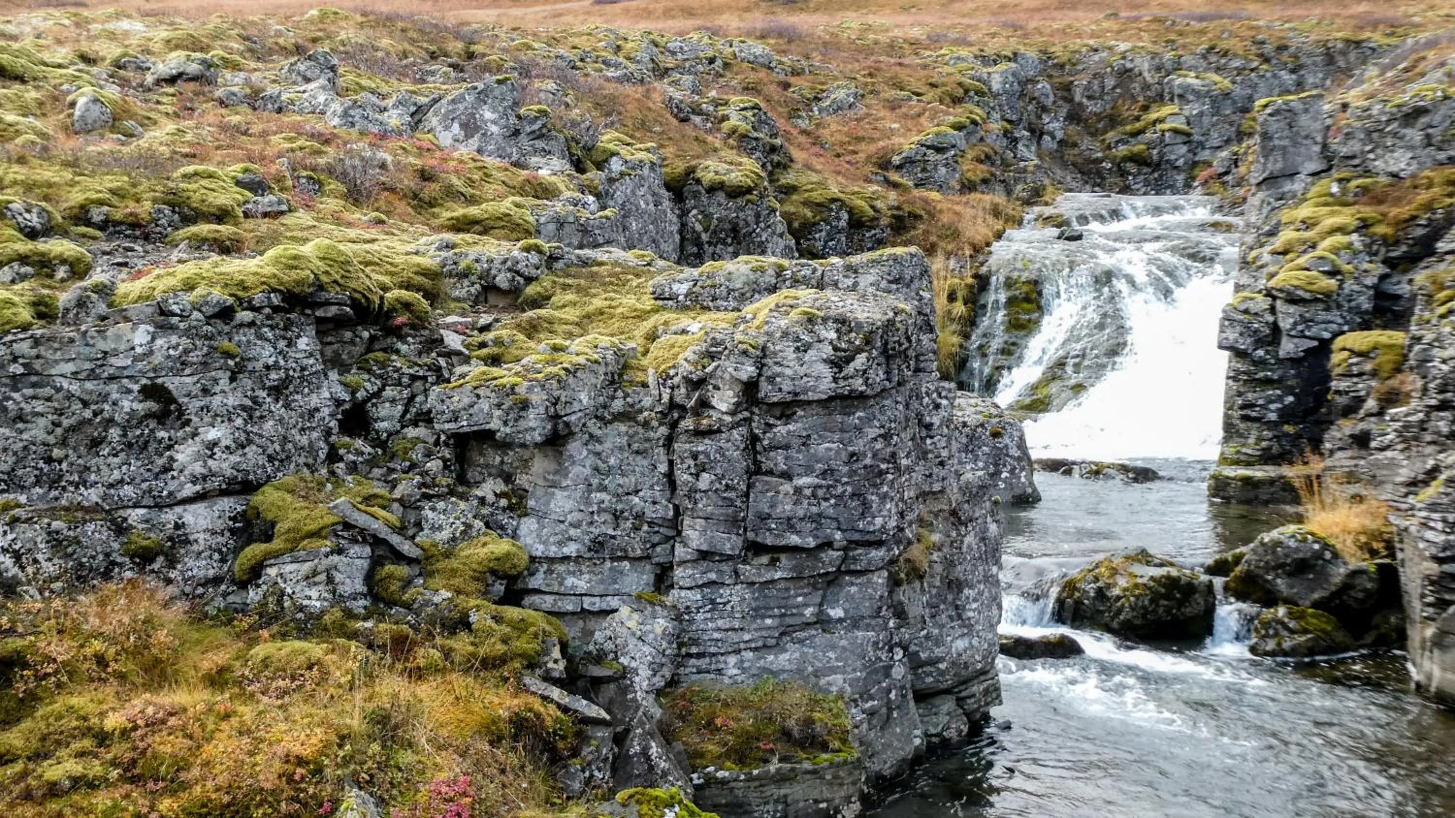 Natural landscape in Harbour Inn - Guesthouse