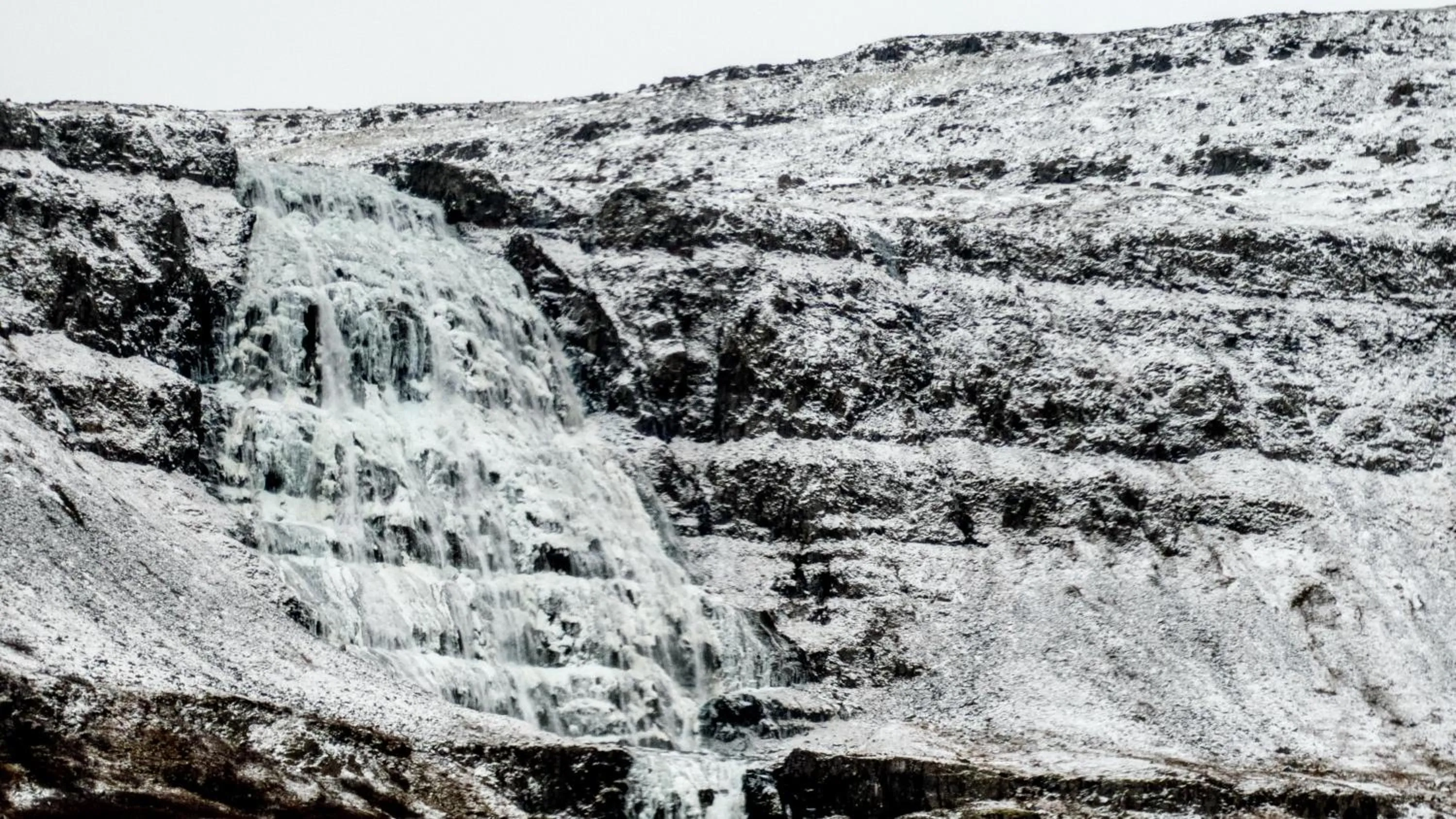 Natural landscape in Harbour Inn - Guesthouse
