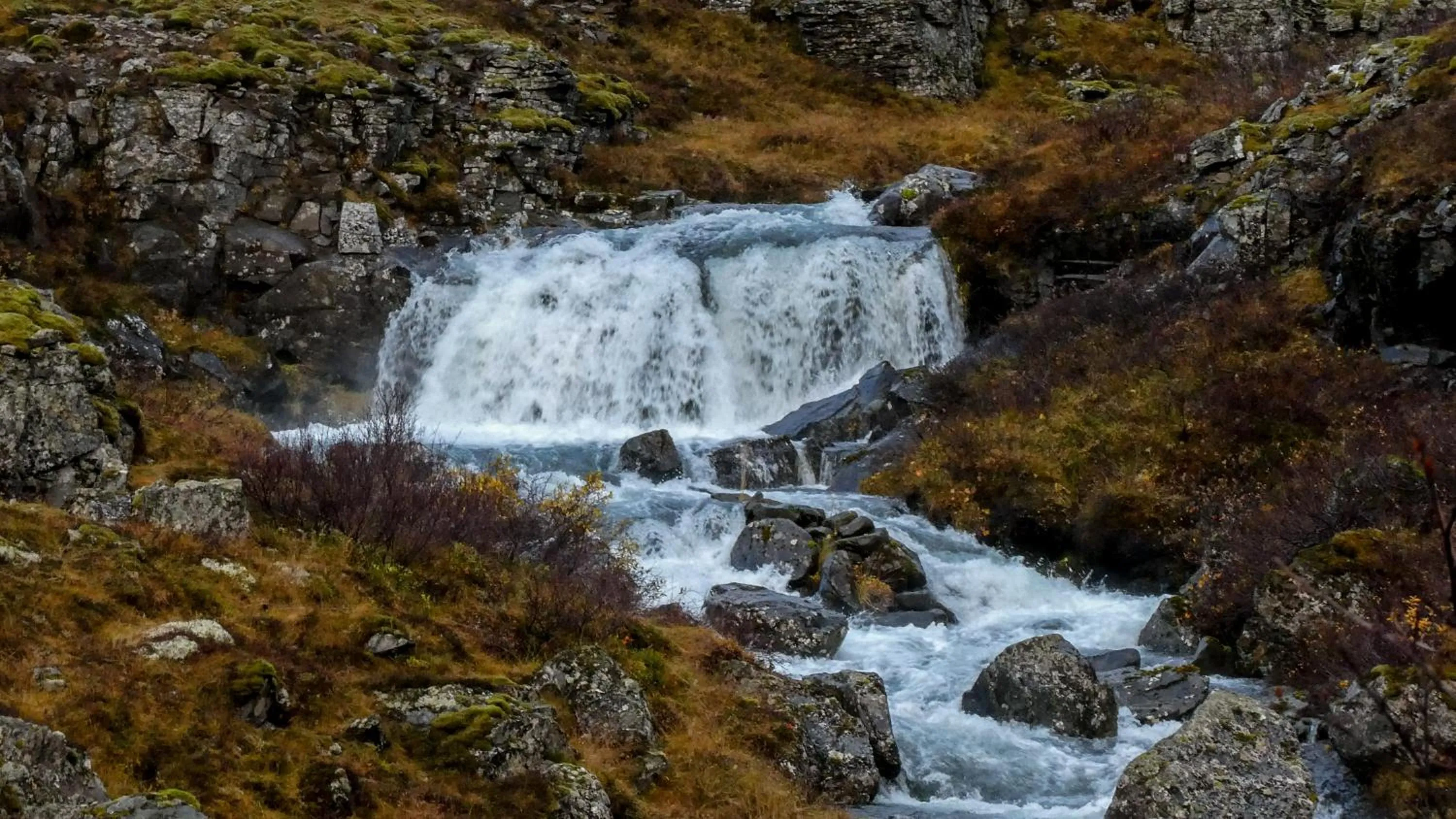 Natural landscape in Harbour Inn - Guesthouse