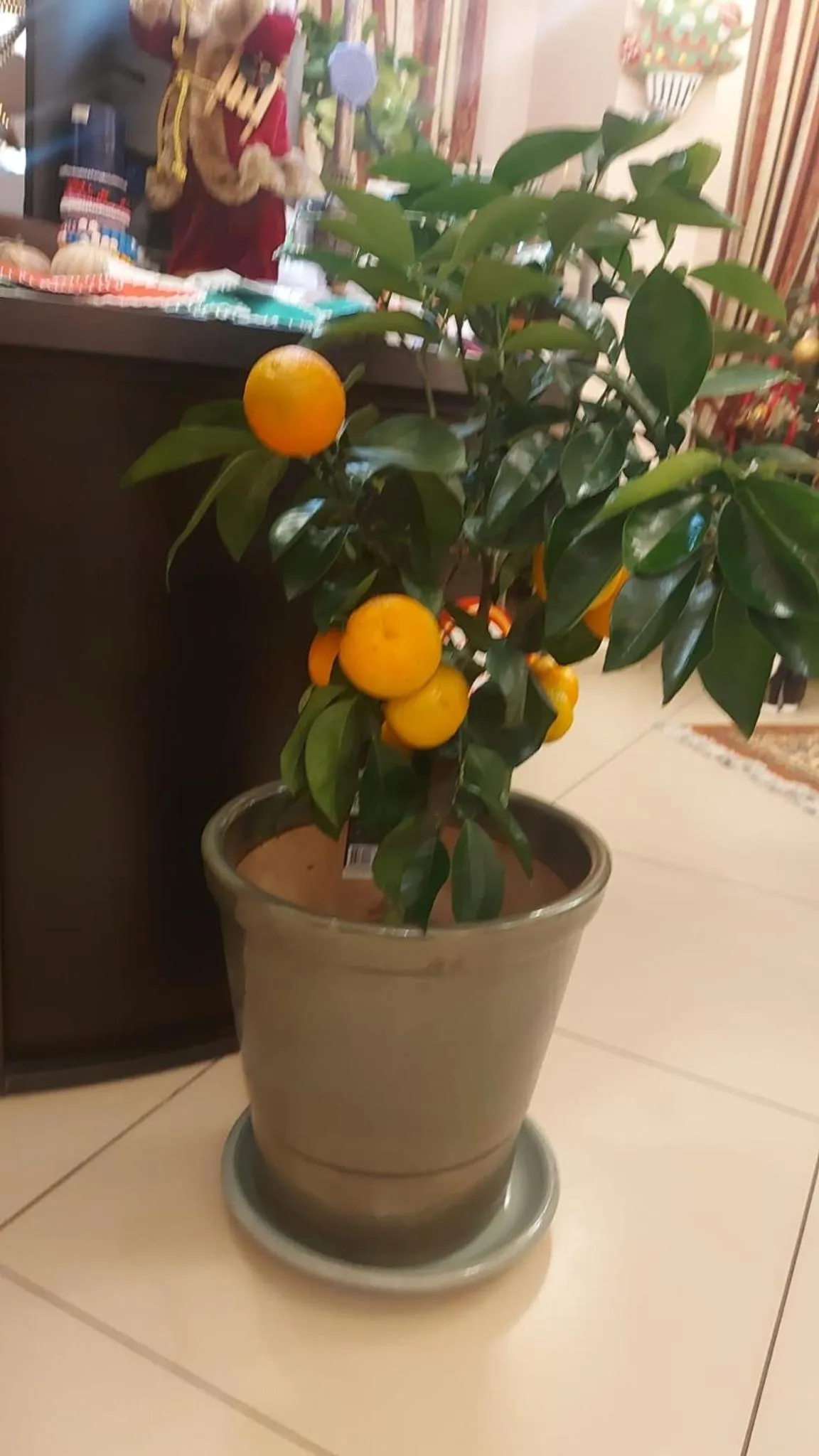 Communal lounge/ TV room in Pensiunea Toscana