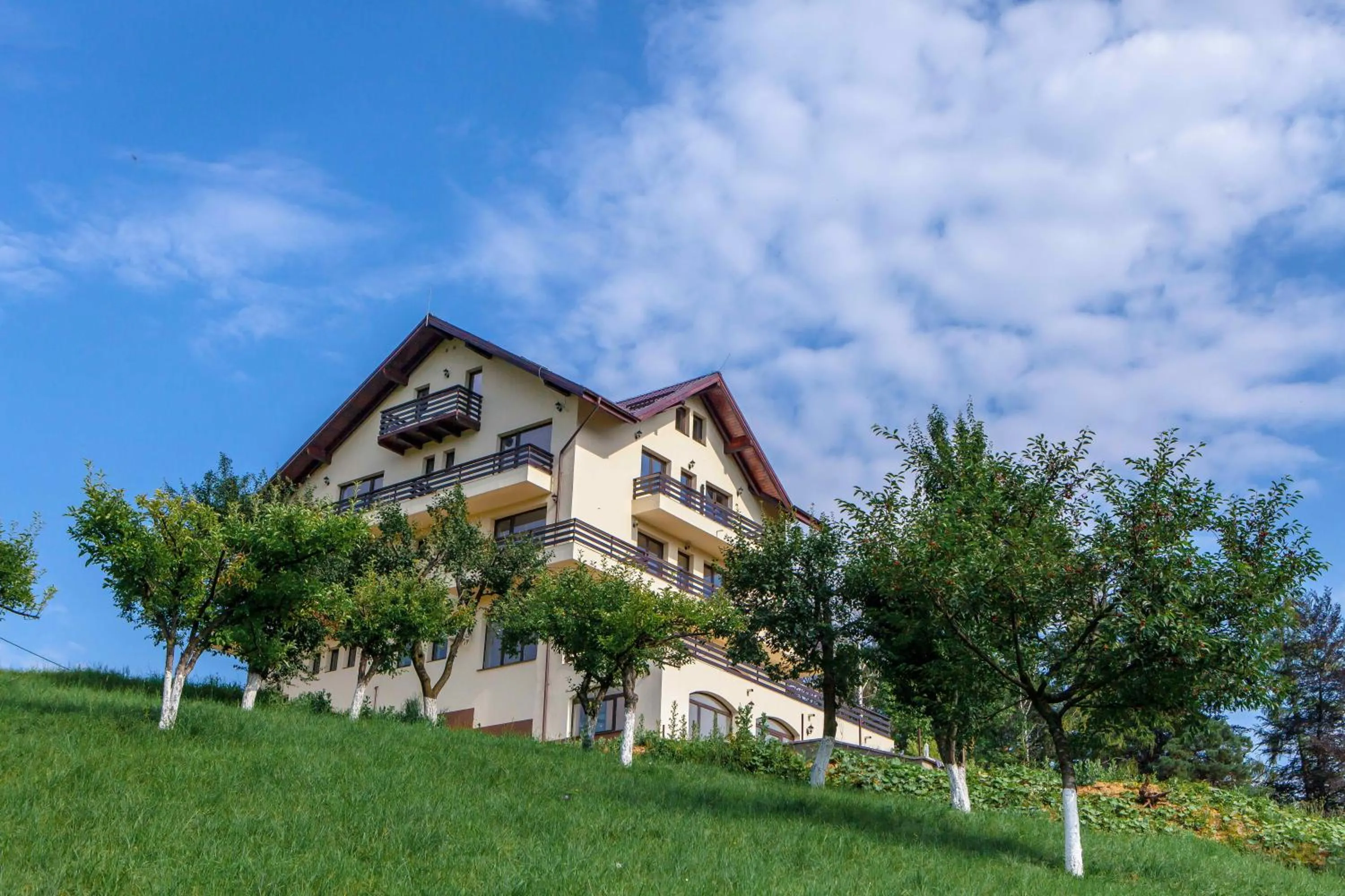 Facade/entrance in Pensiunea Toscana