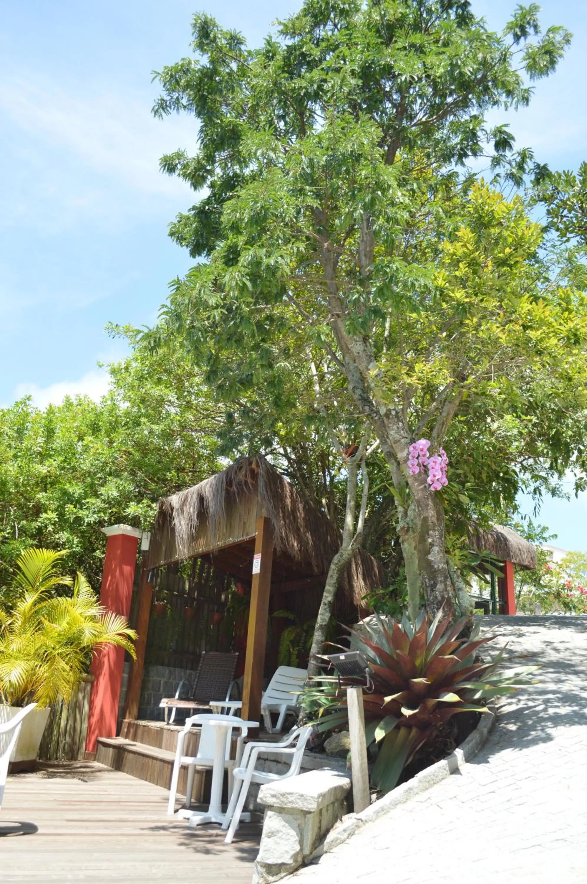 Garden in Dubai Bungalows Bombinhas