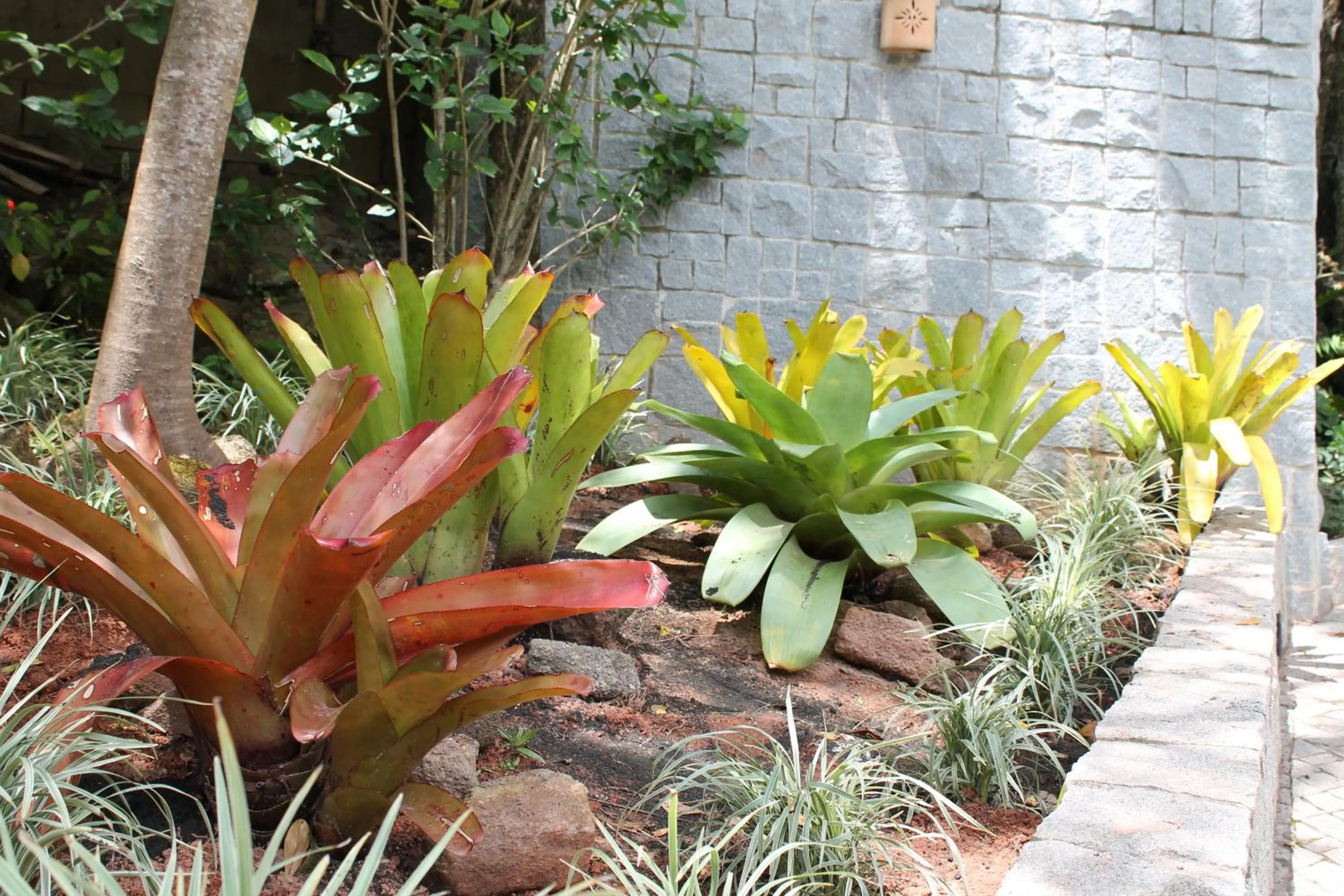 Garden in Dubai Bungalows Bombinhas