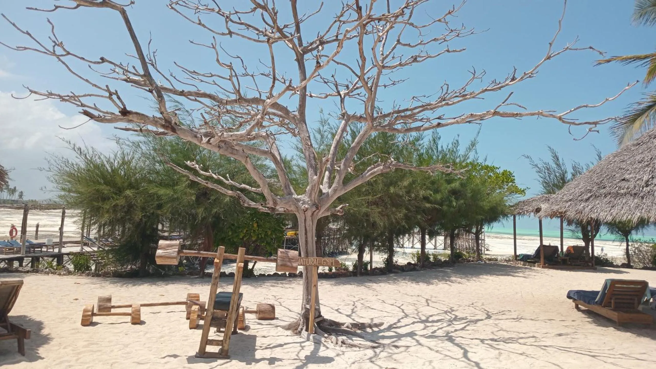 Activities in Reef & Beach Resort - Spa Jambiani