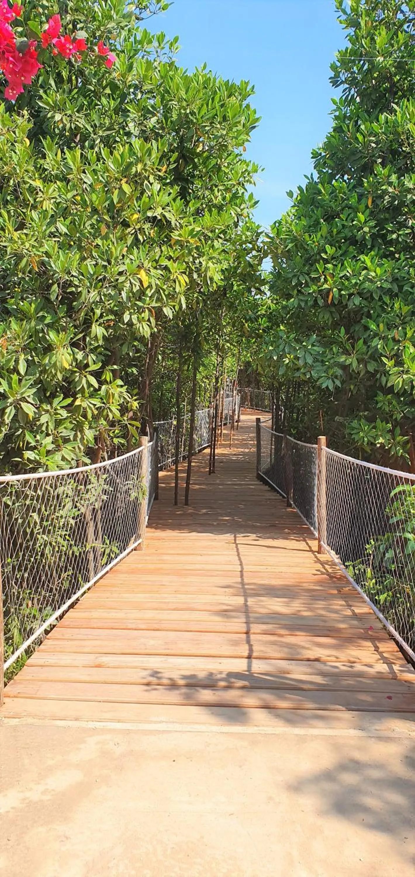 Natural landscape in Reef & Beach Resort - Spa Jambiani