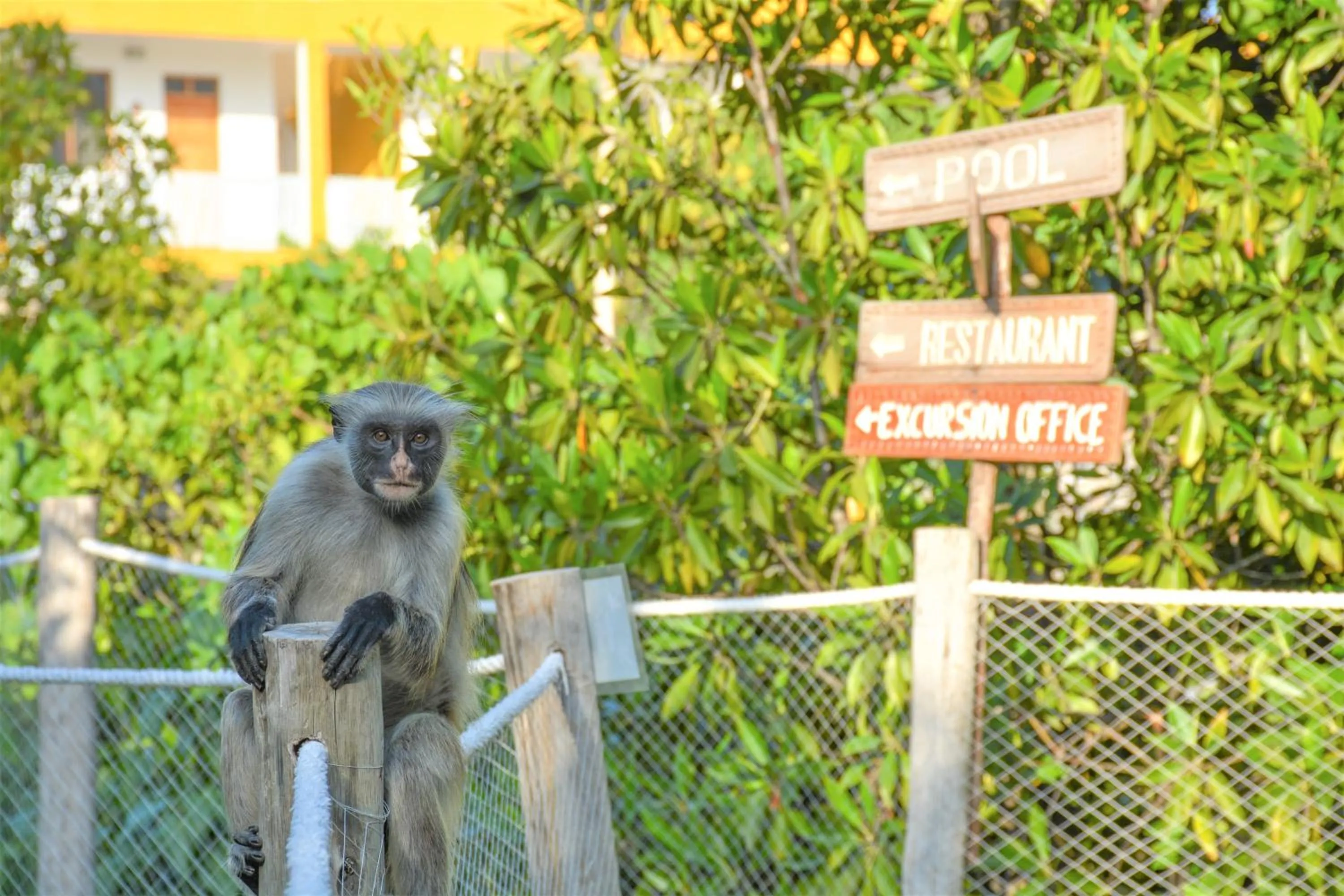 Natural landscape in Reef & Beach Resort - Spa Jambiani