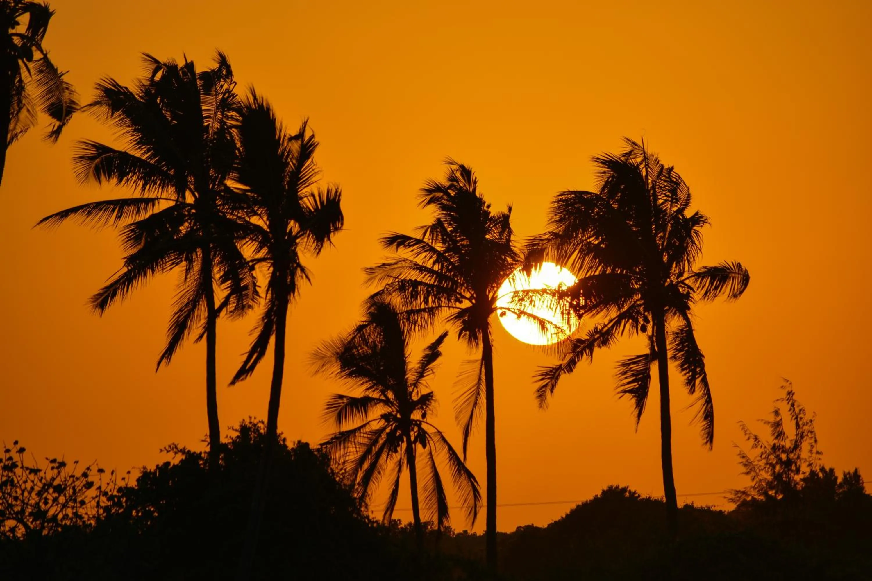 View (from property/room) in Reef & Beach Resort - Spa Jambiani