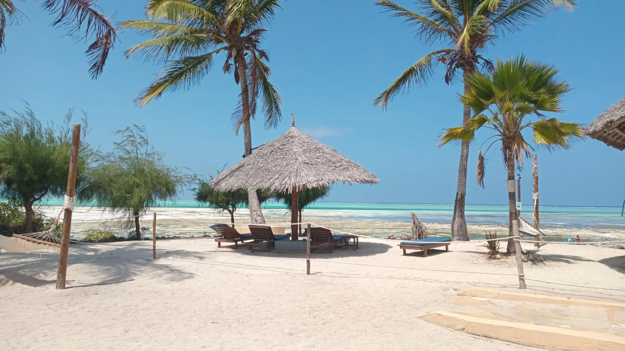 Beach in Reef & Beach Resort - Spa Jambiani