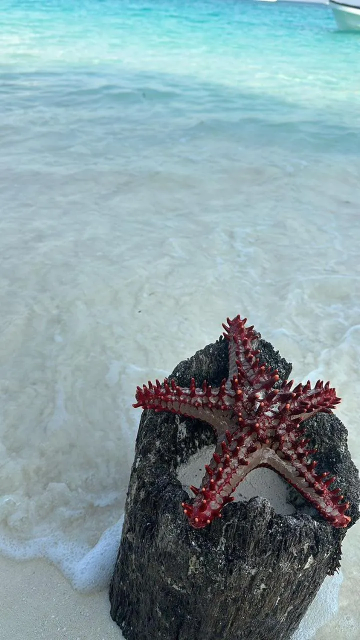 Day in Sunset Kendwa Beach Hotel