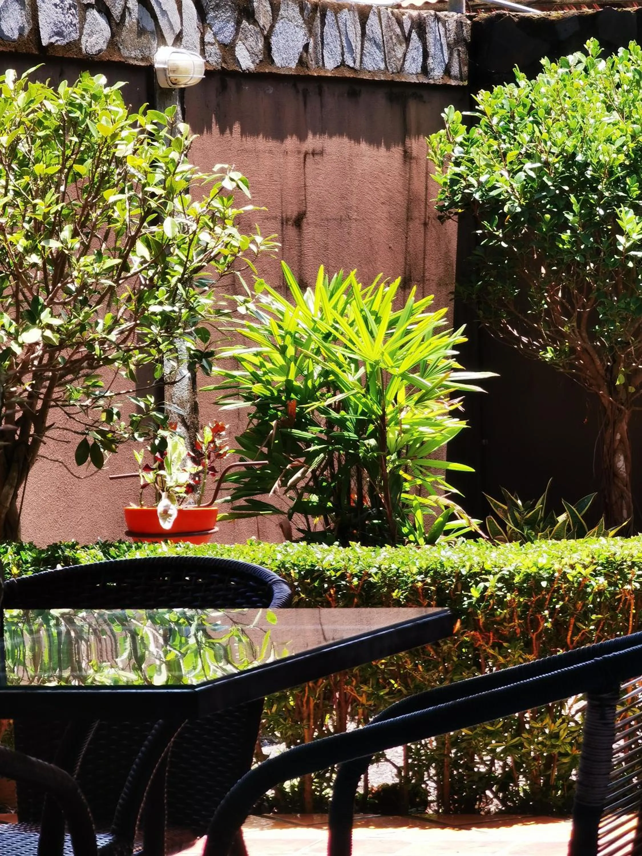 Garden in Sunrise House