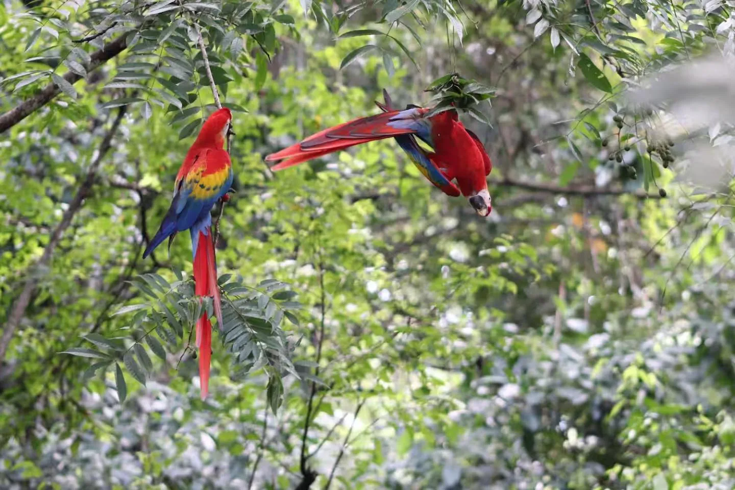 Day in Sunrise House