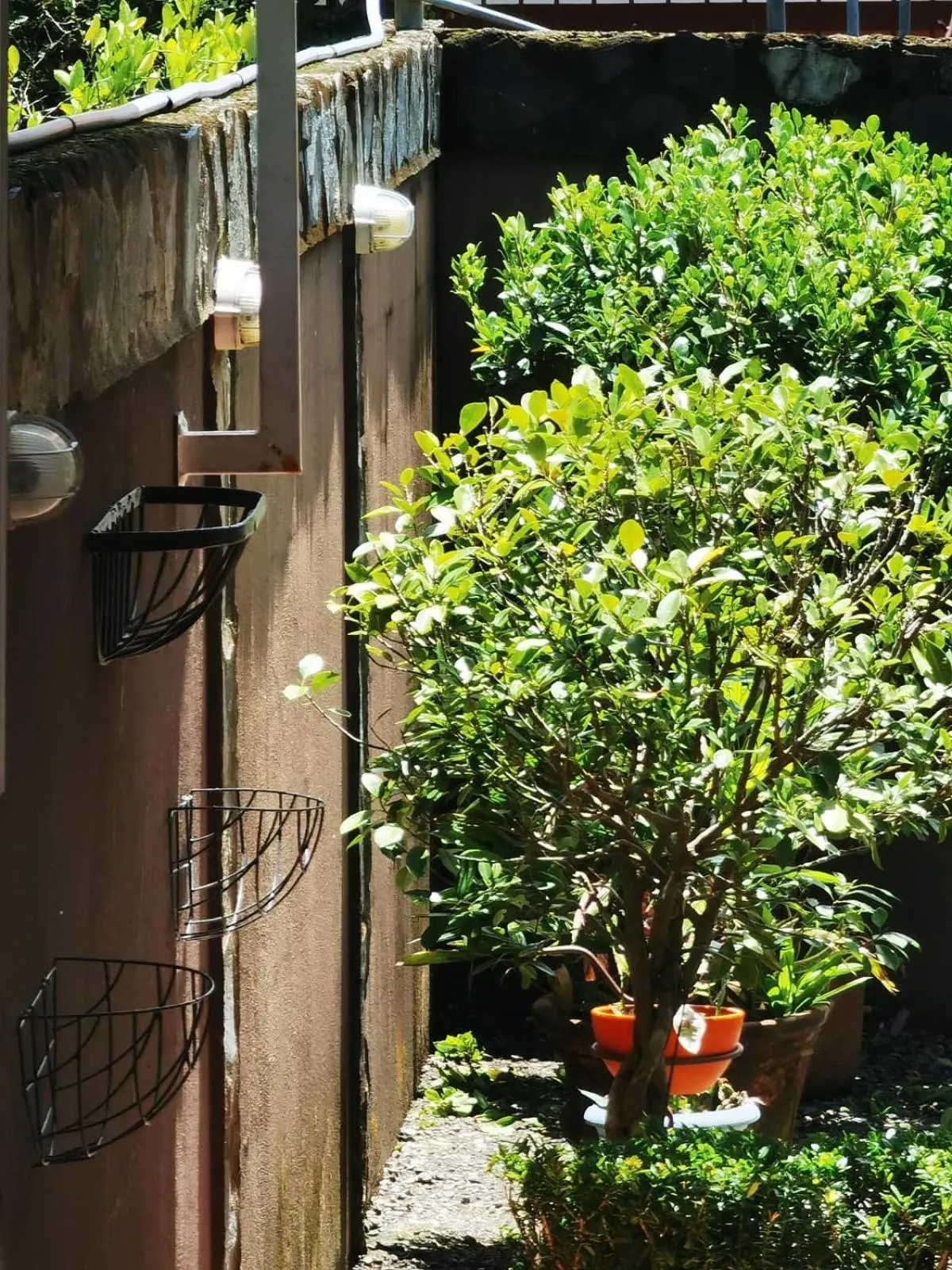 Property building in Sunrise House