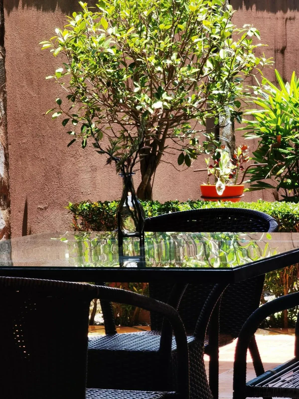 Patio in Sunrise House