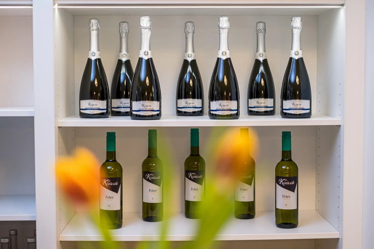 Lobby or reception in Kistücsök Food & Room