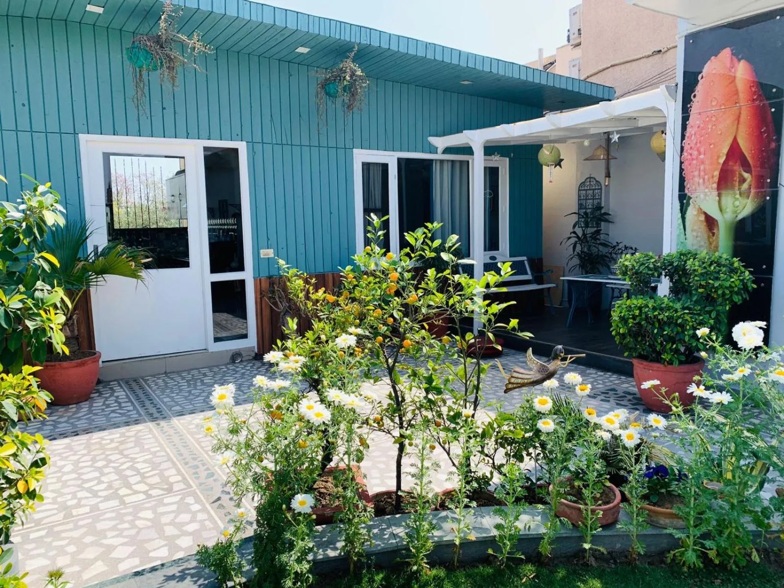 Garden view in Vandana's Bed and breakfast