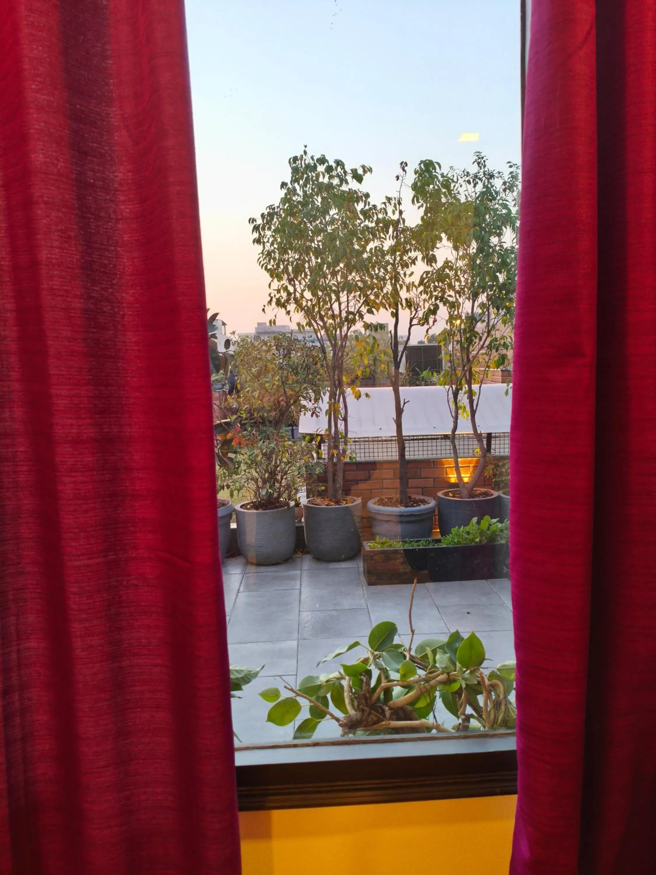 Garden view in Vandana's Bed and breakfast