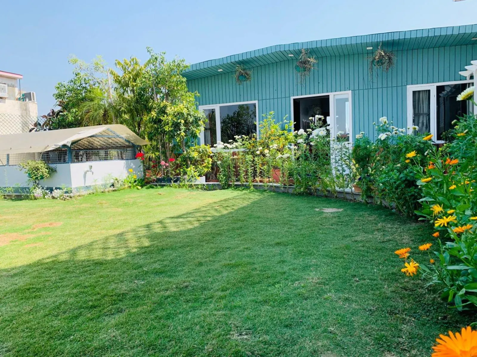 Garden in Vandana's Bed and breakfast