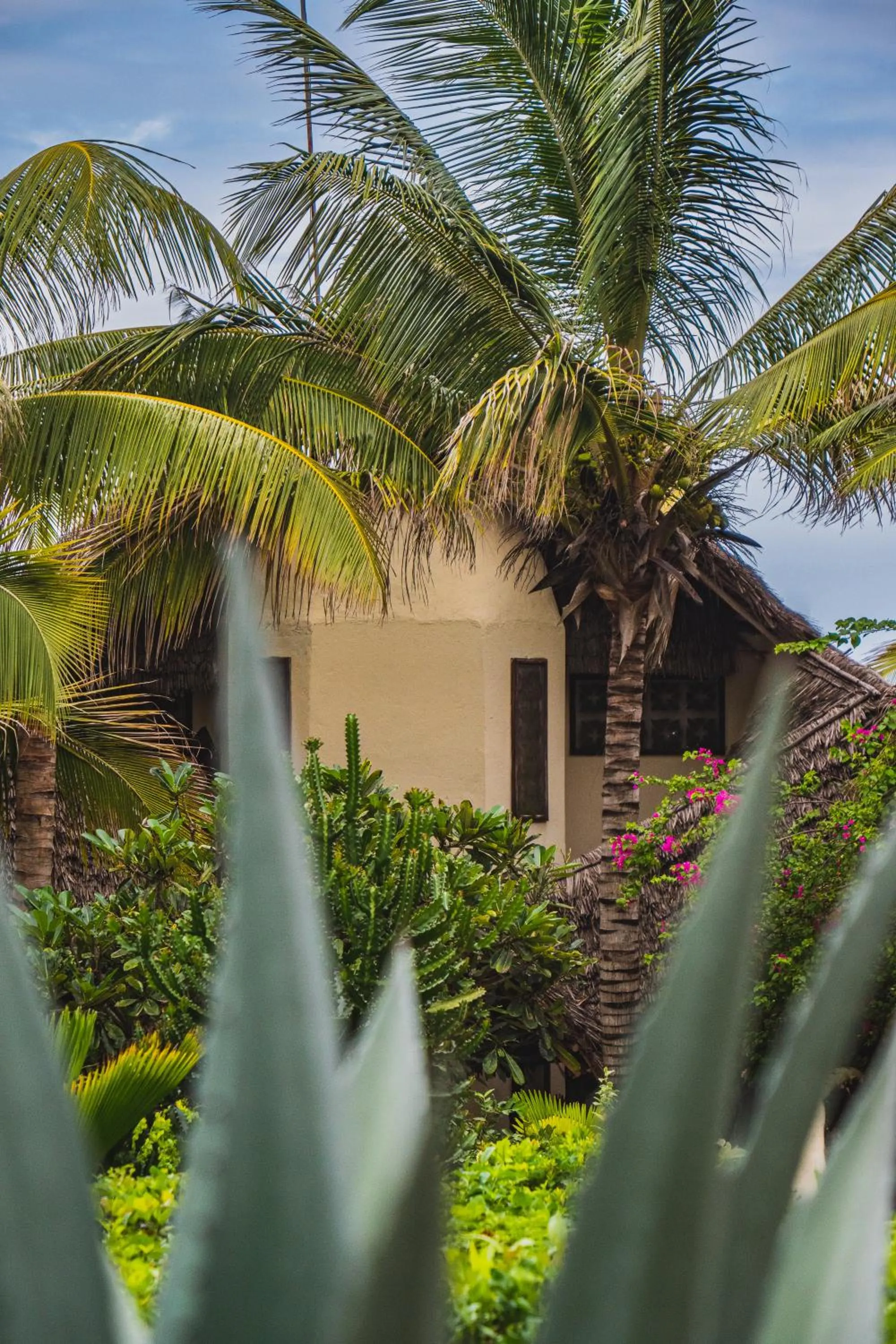 Garden in Sunshine Marine Lodge