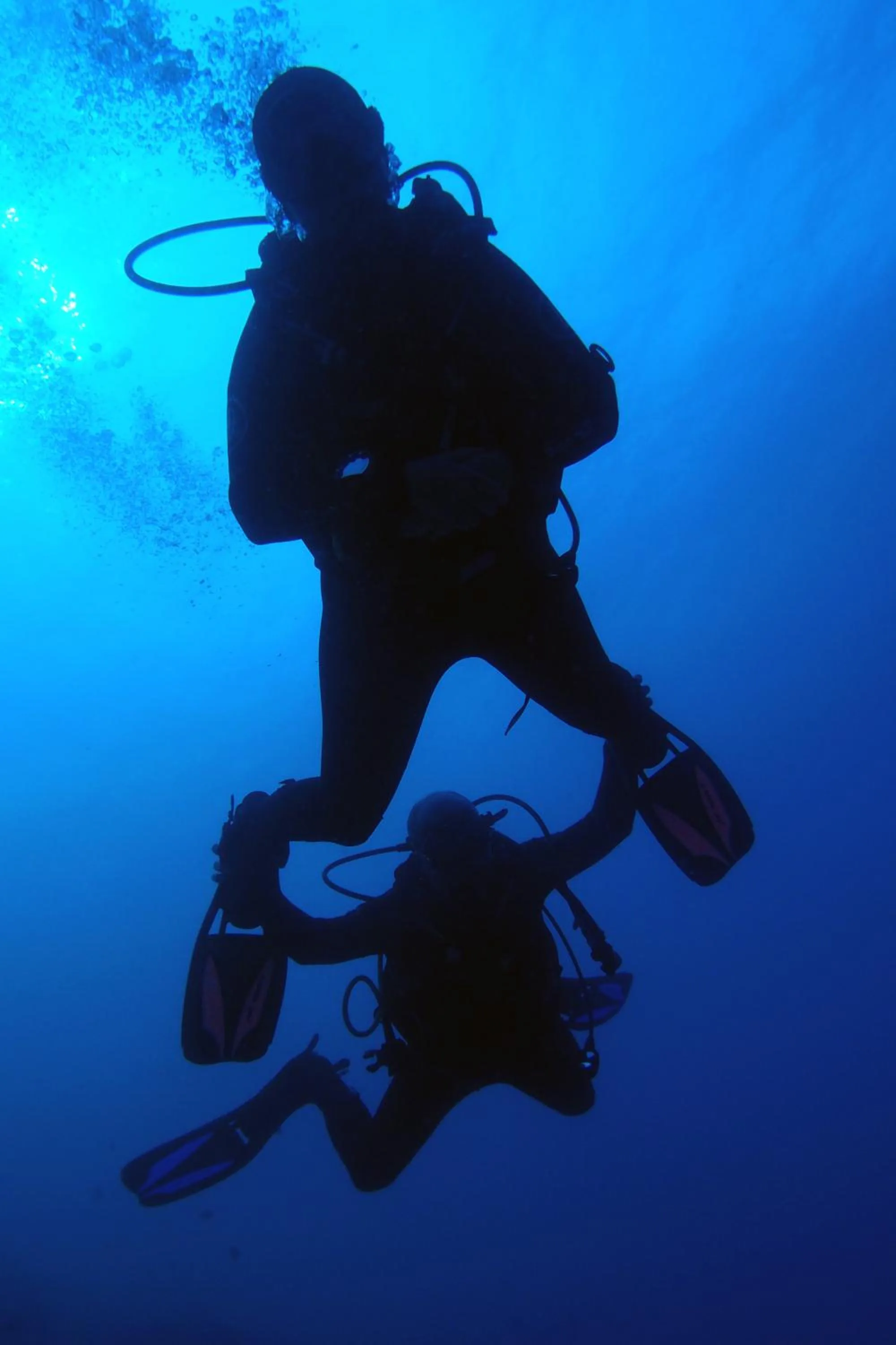 Diving in Sunshine Marine Lodge