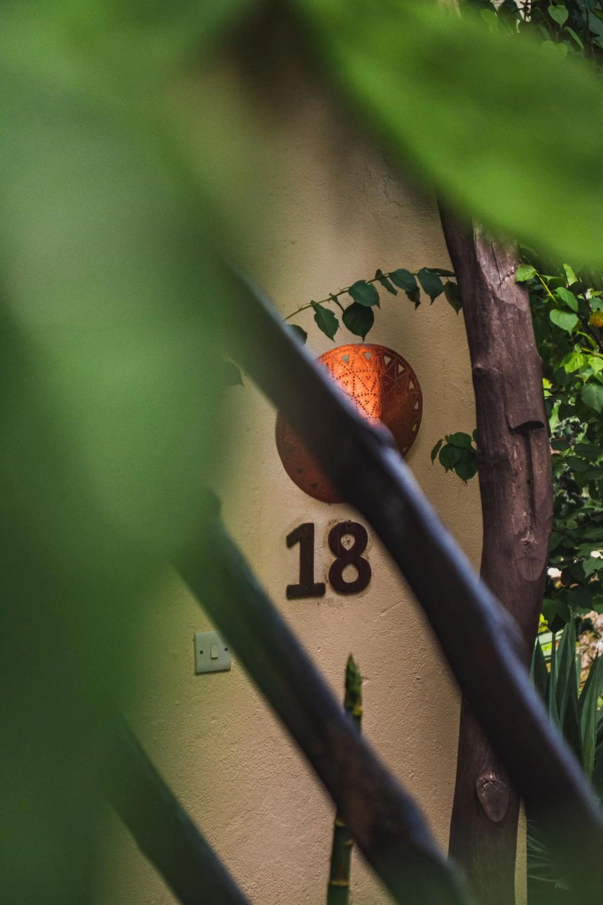 Garden in Sunshine Marine Lodge