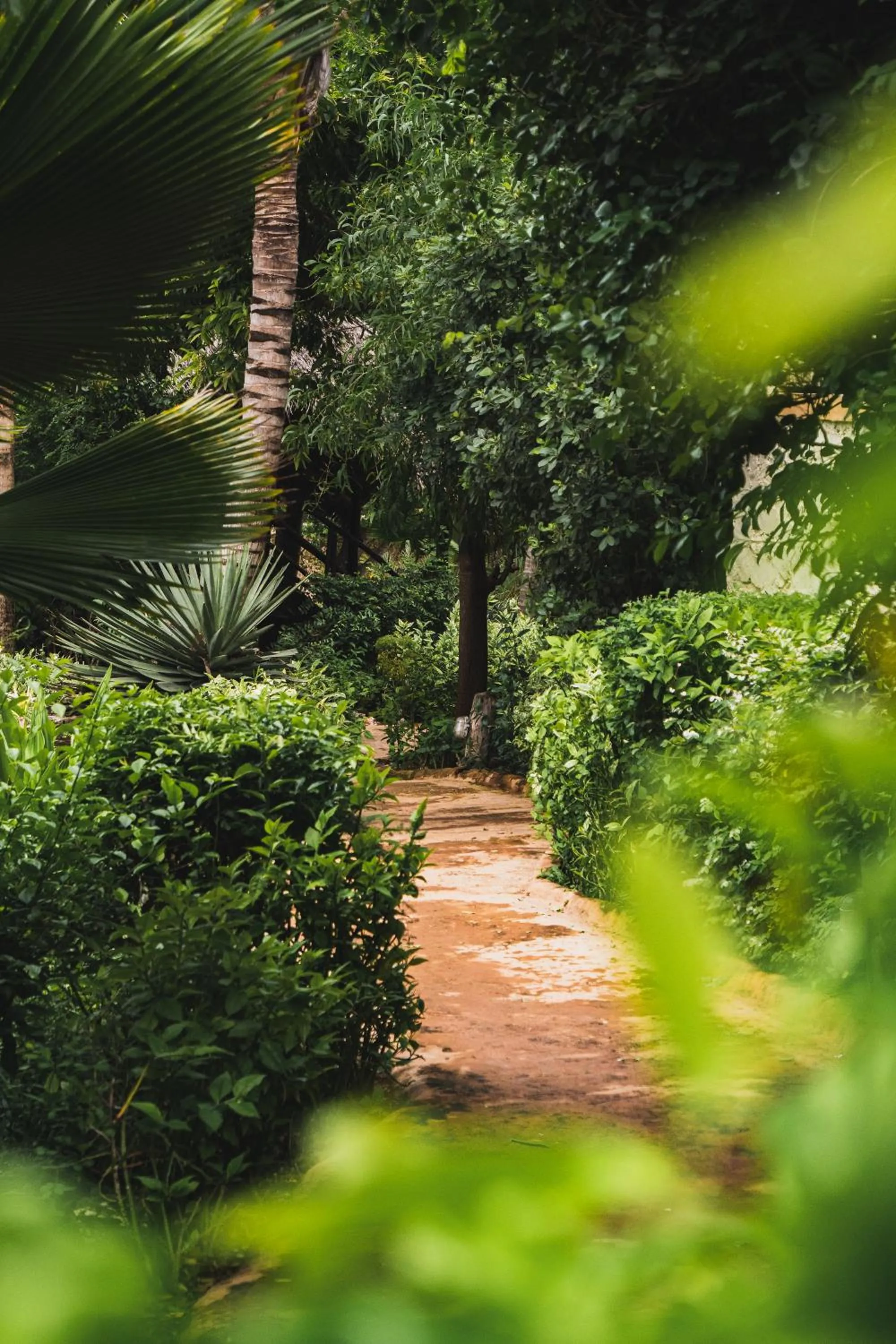 Garden in Sunshine Marine Lodge