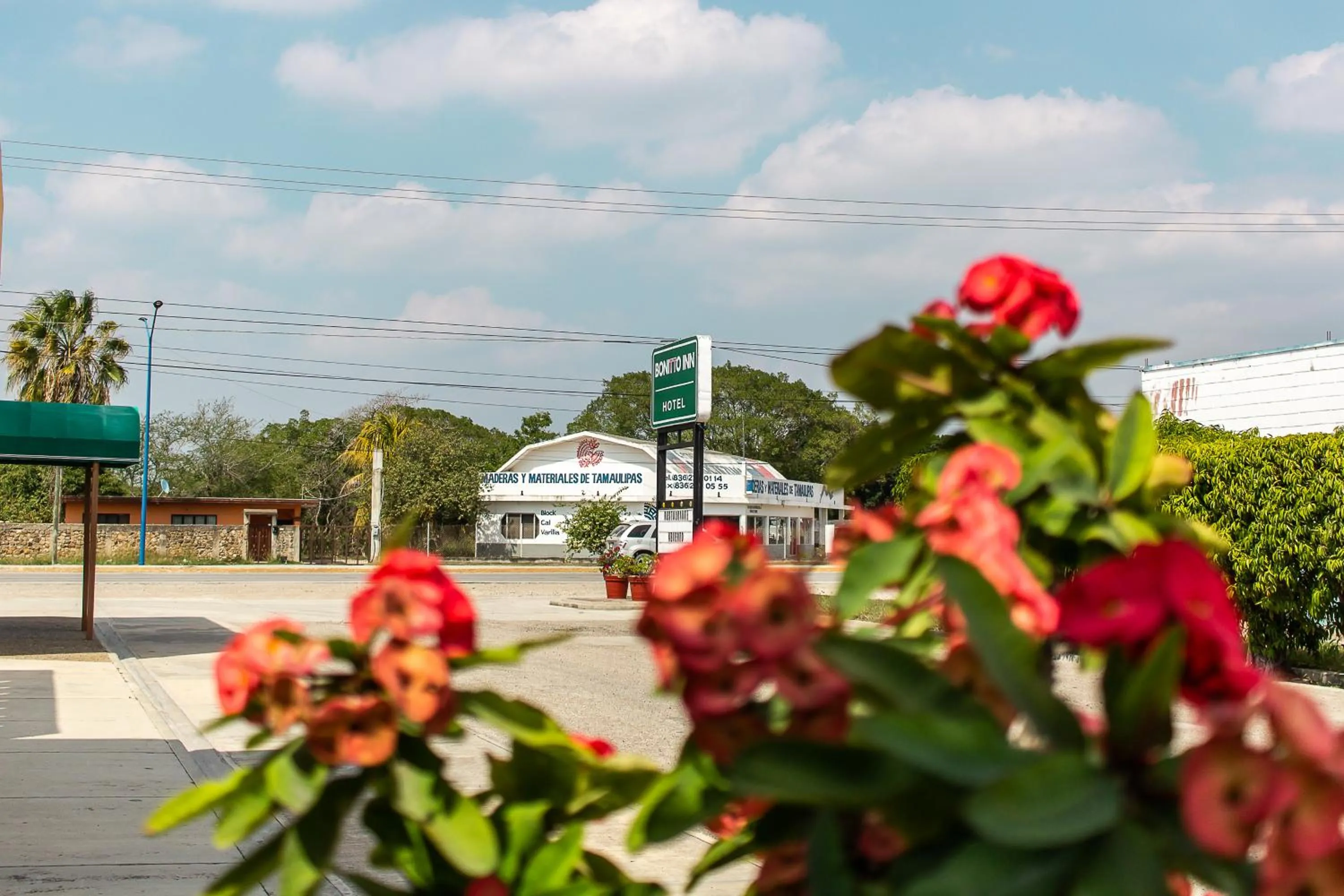 Neighbourhood in BONITTO INN® Gonzalez
