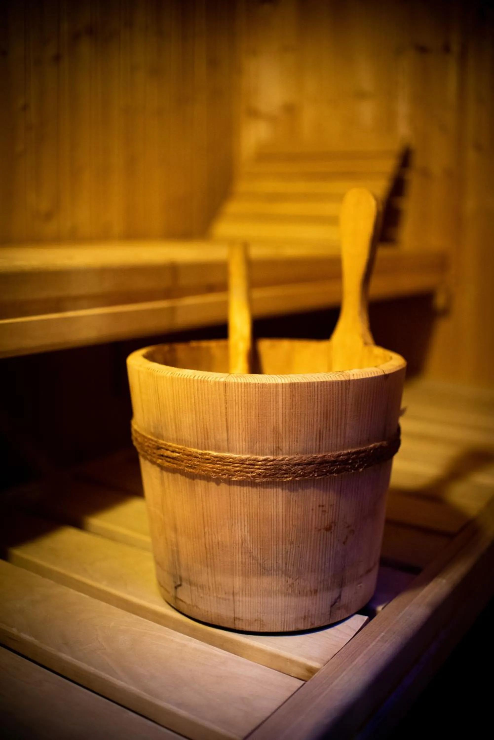 Sauna in Hotel Jelinek