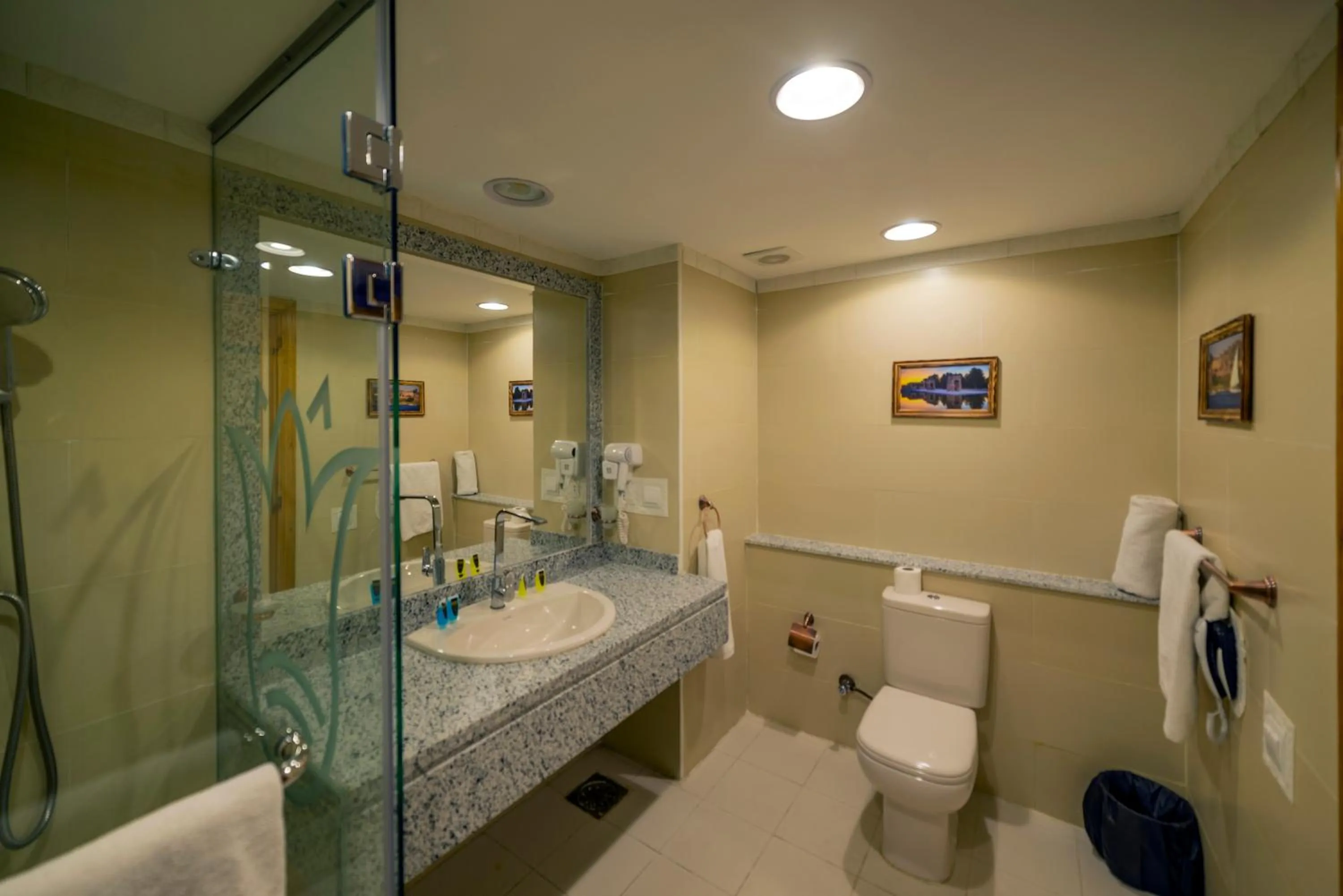 Toilet in Regency Pyramids Hotel