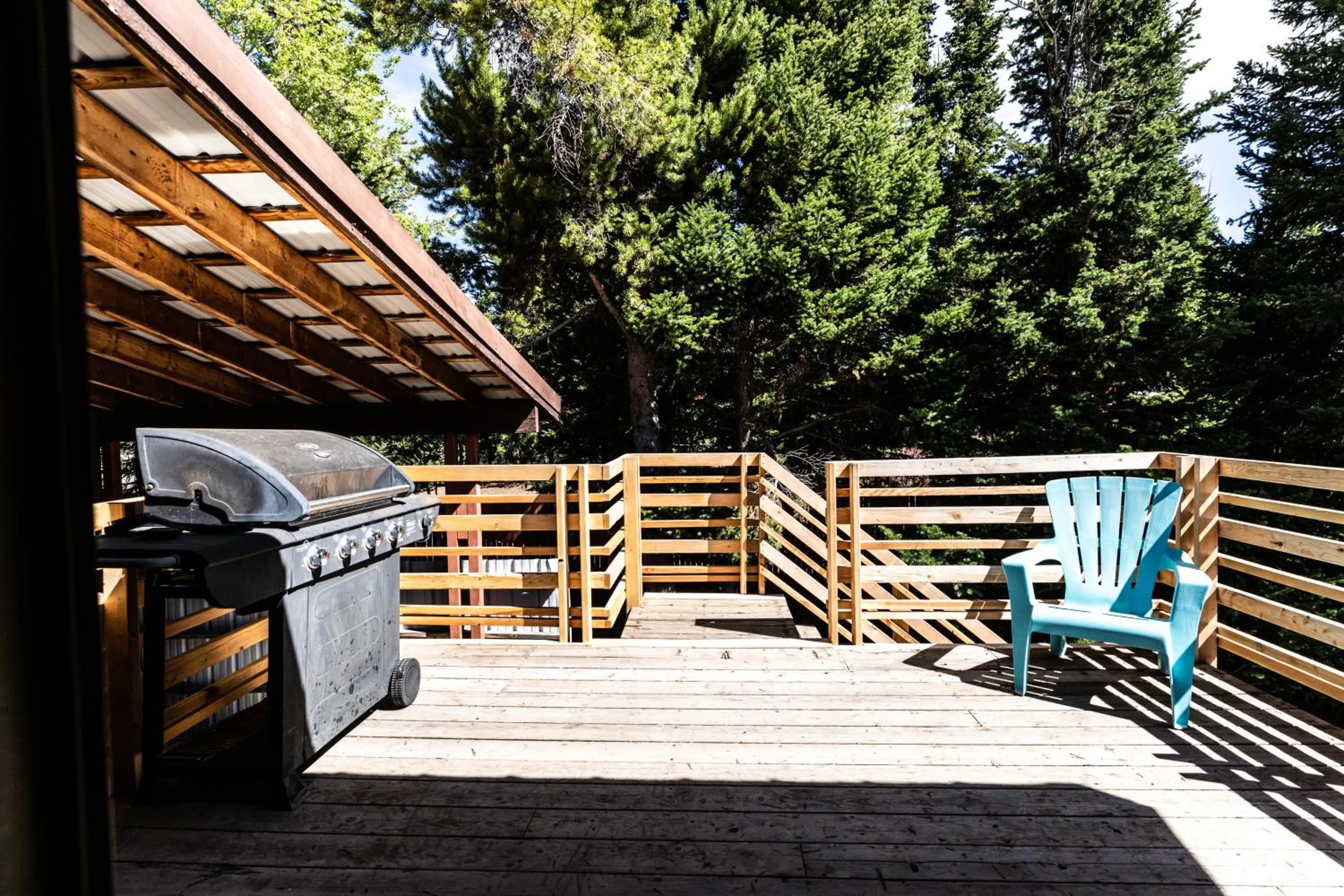 Day in Geyser Getaway