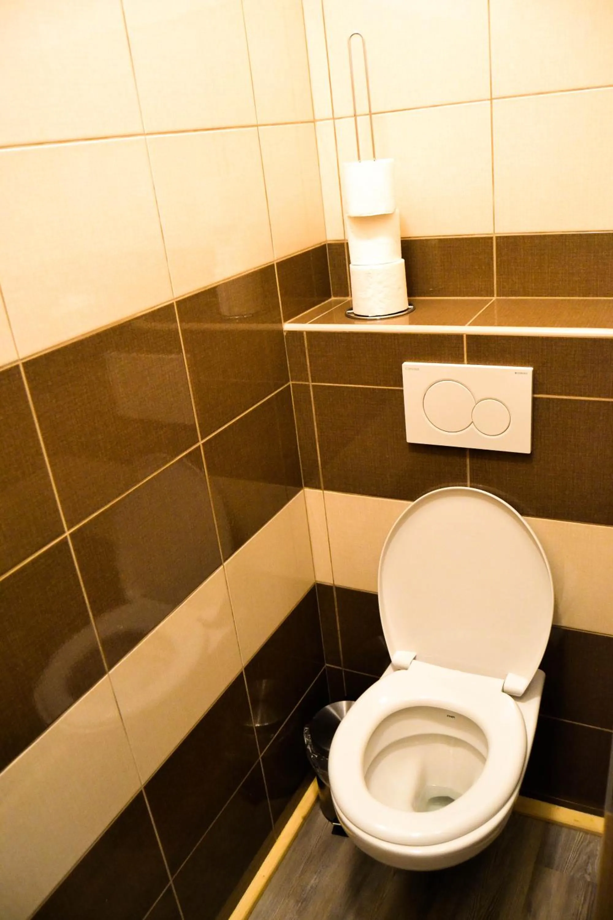 Toilet in Hotel Krakonos