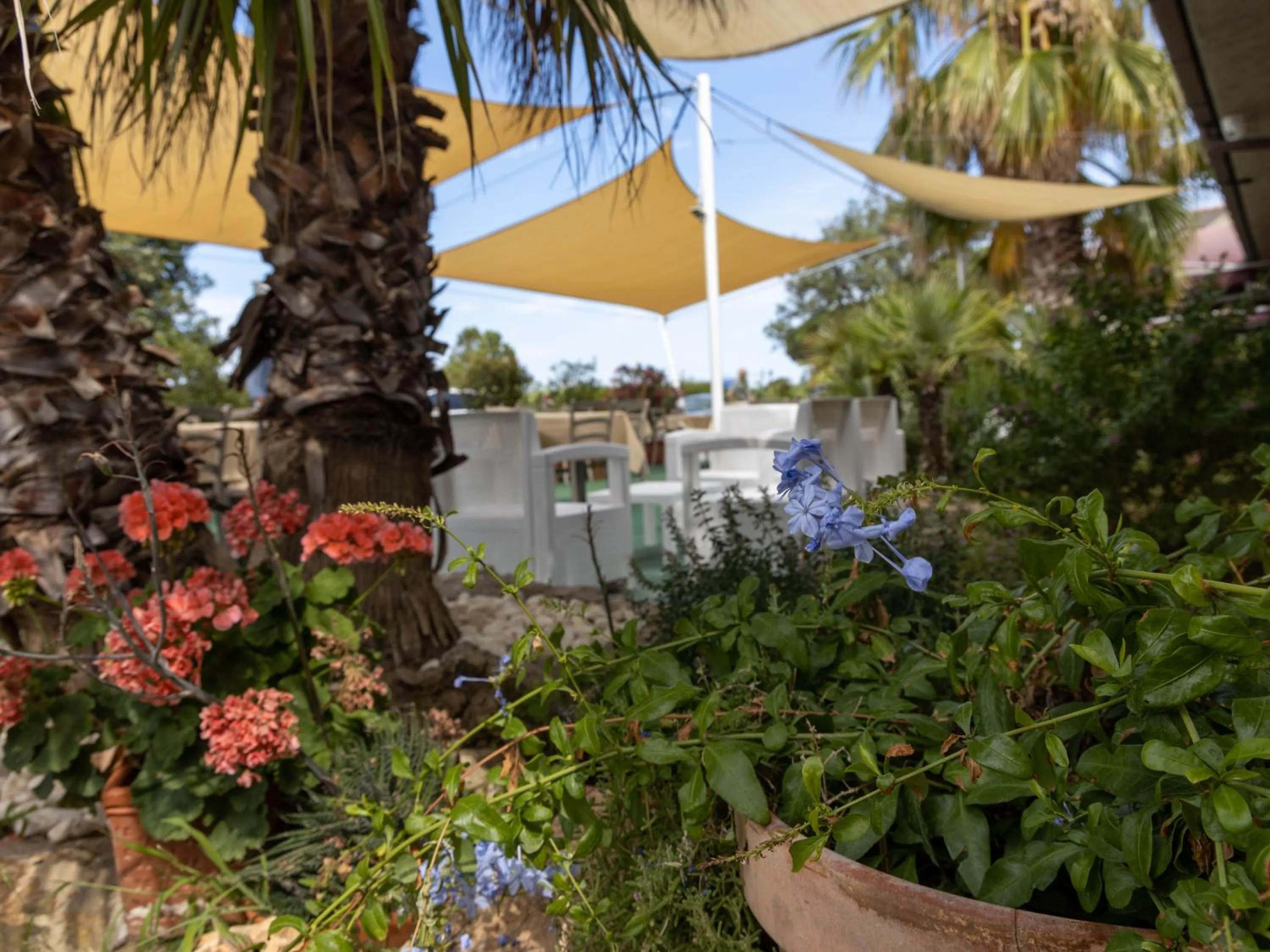 Property building in Hotel La Rosa Dei Venti