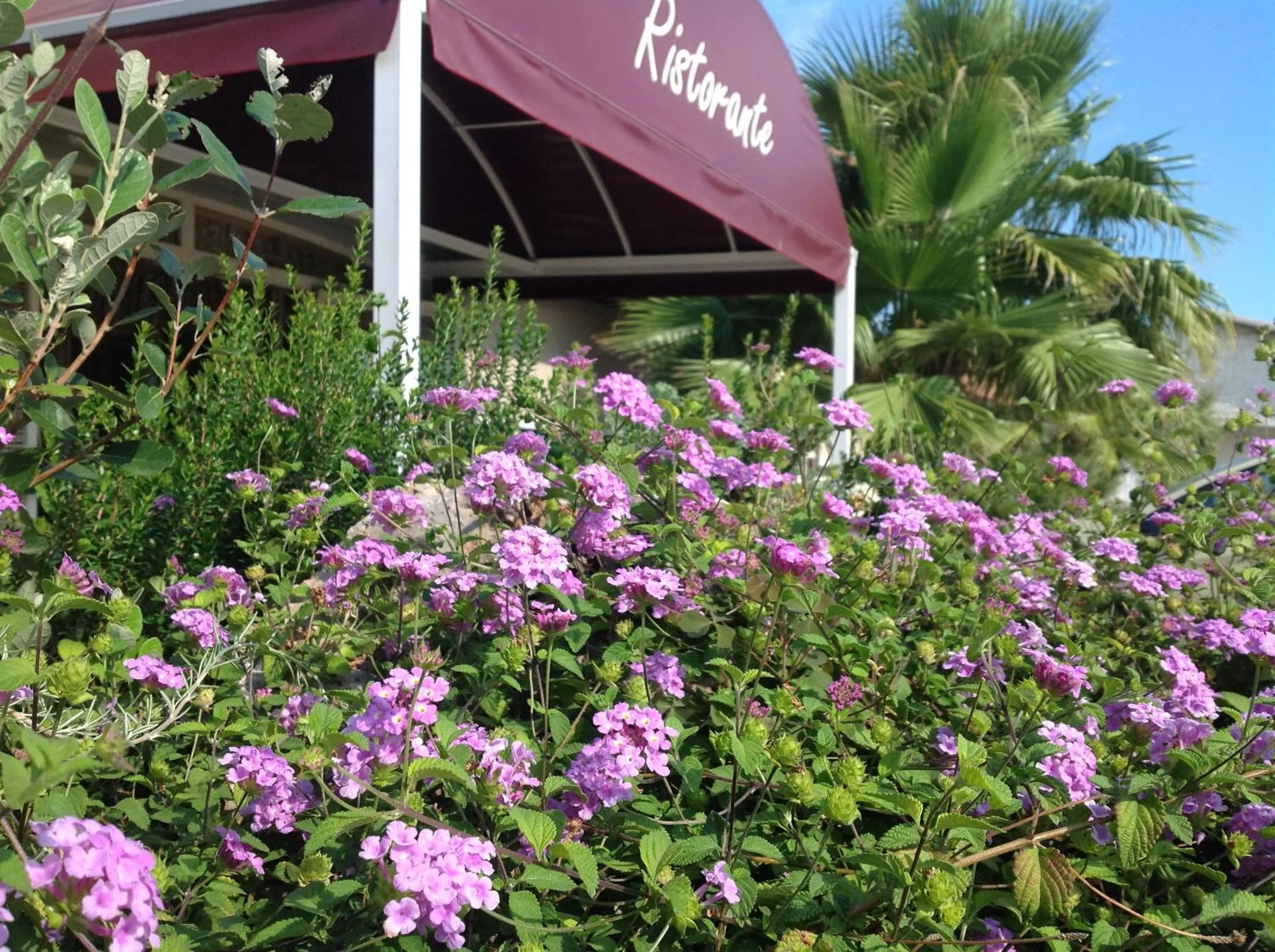 Decorative detail in Hotel La Rosa Dei Venti