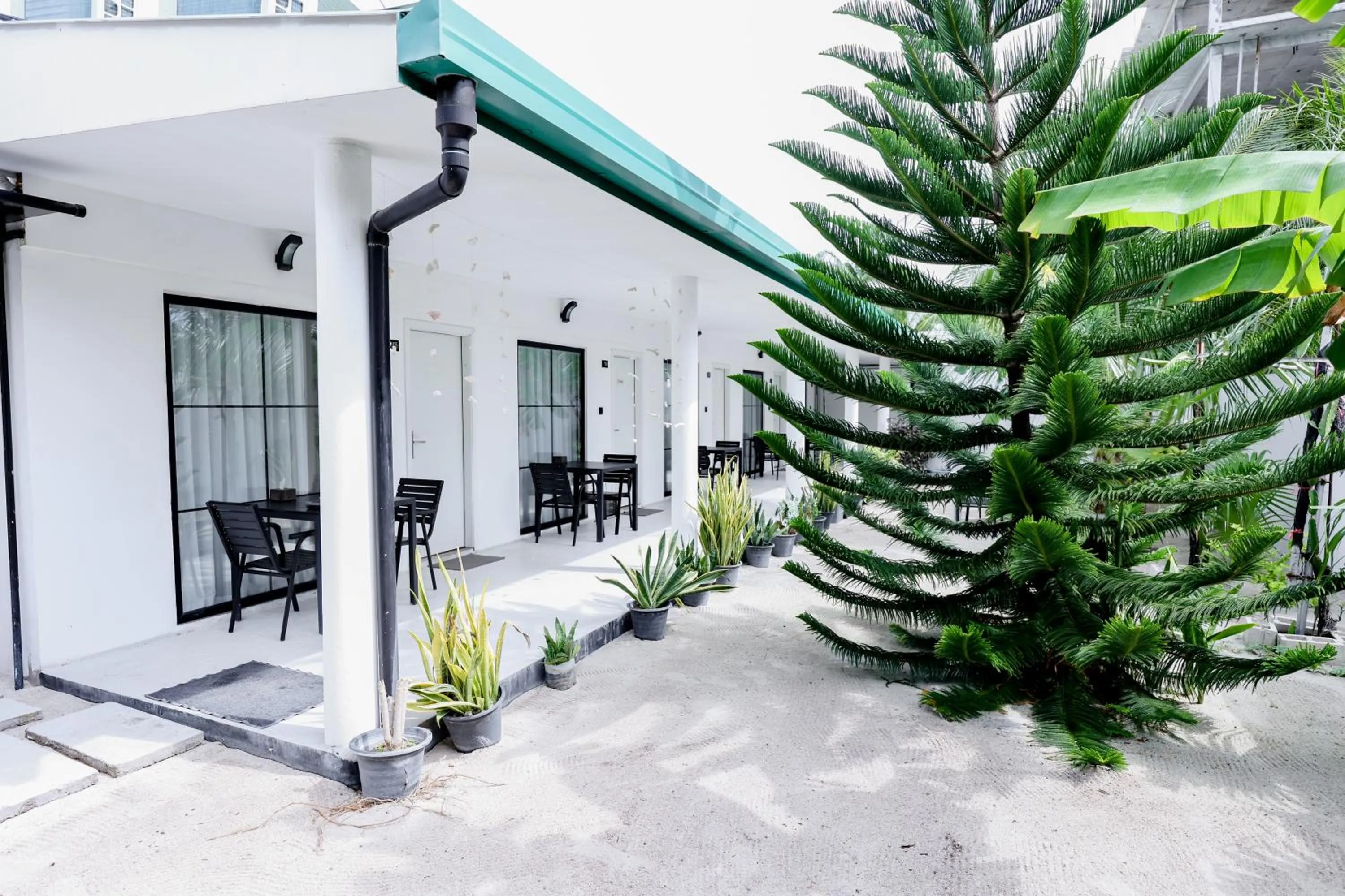 Garden in Belvedere Thoddoo