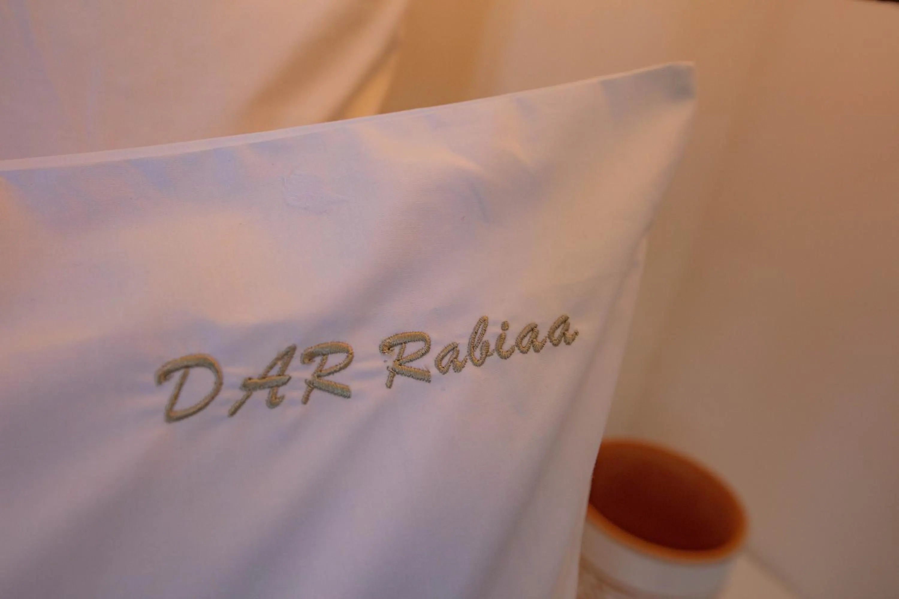 Logo/Certificate/Sign in Riad Dar Rabiaa