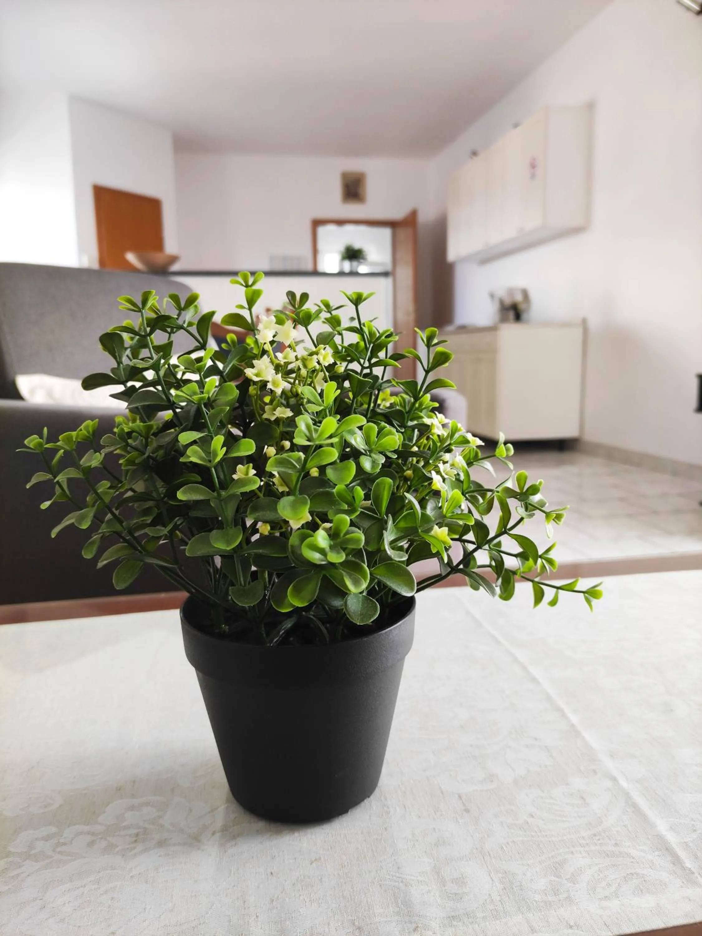 Living room in Guesthouse Varnica