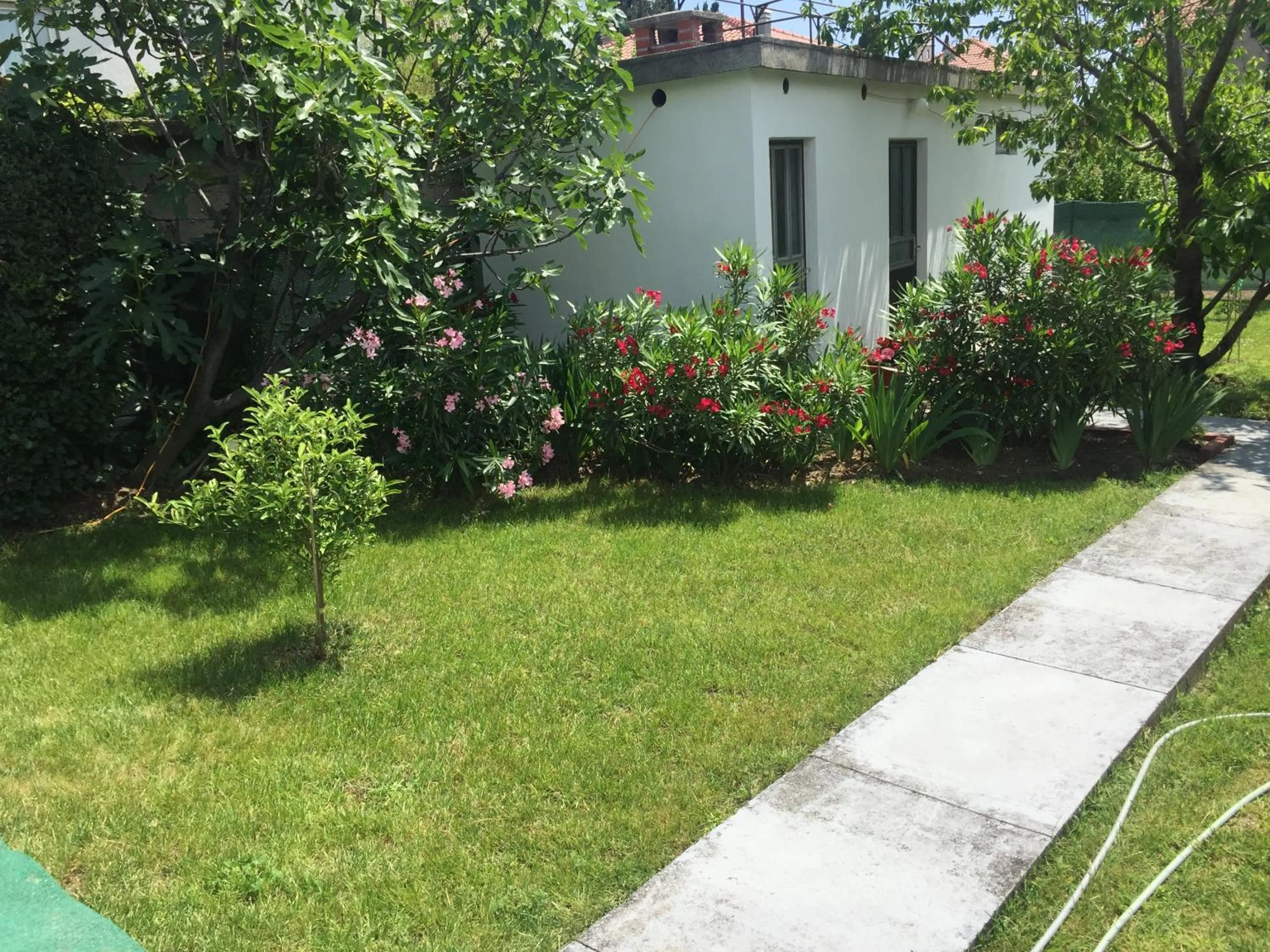 Natural landscape in Guesthouse Varnica