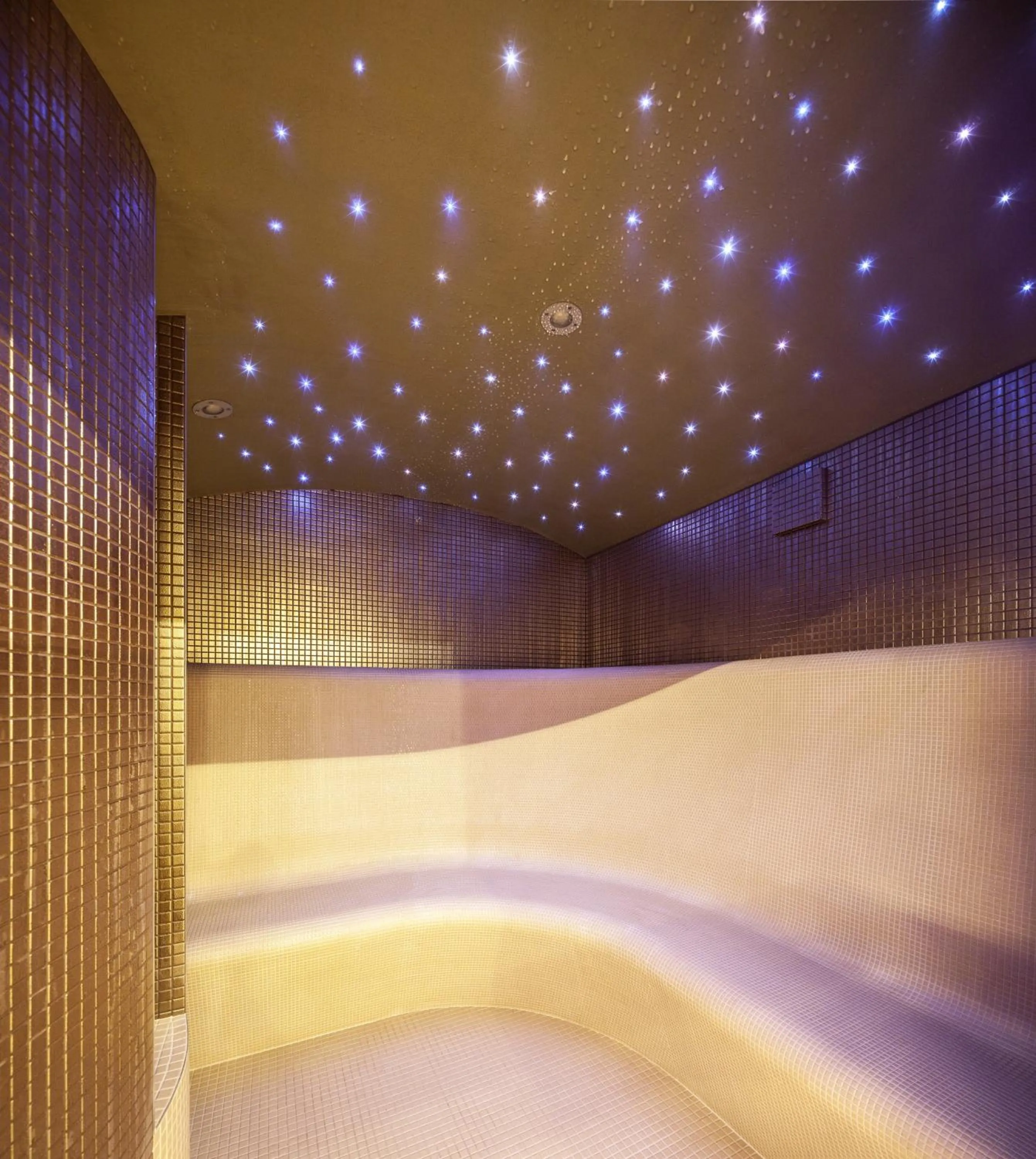 Steam room in Kosher Hotel King David Prague