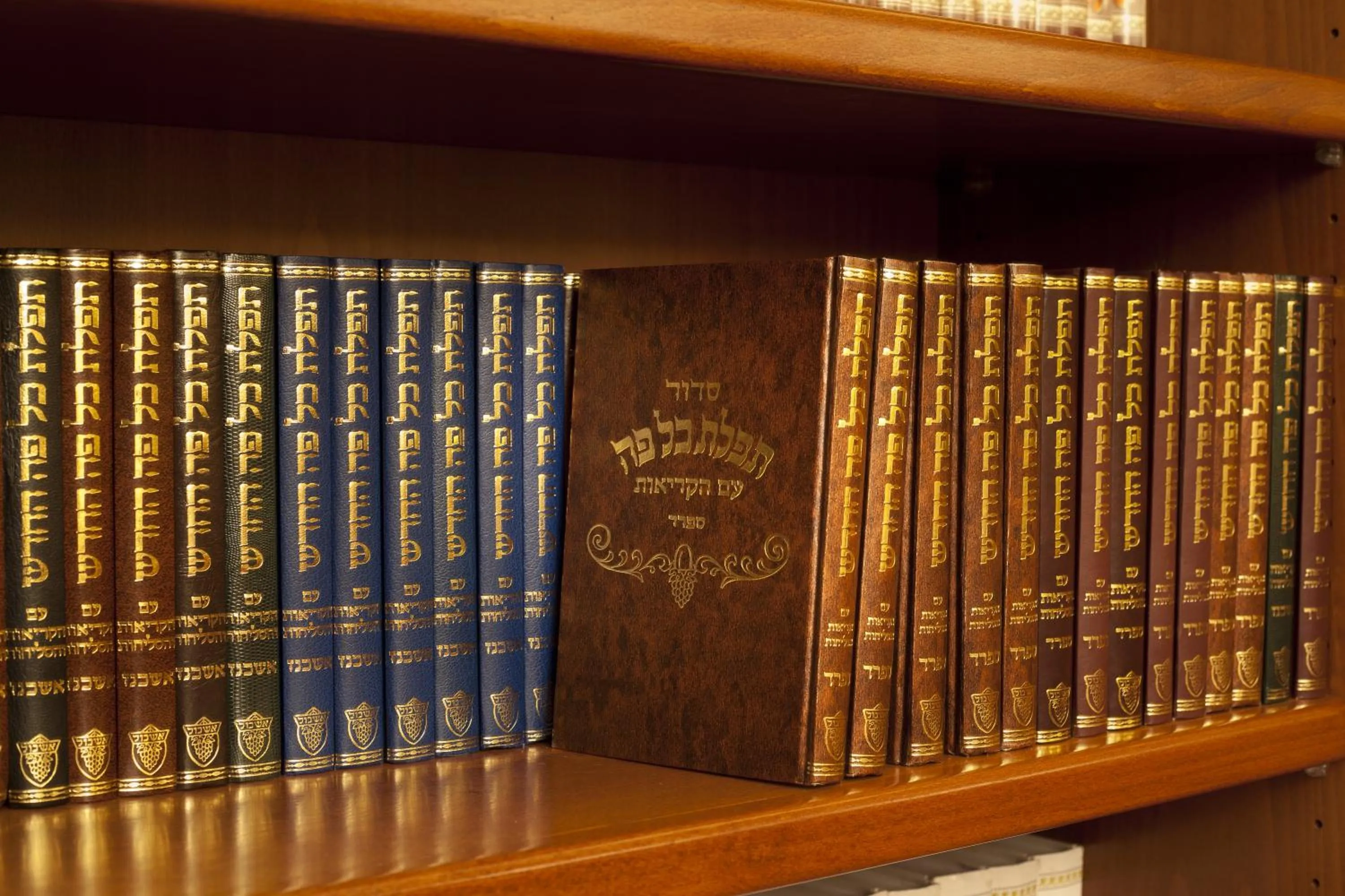 Library in Kosher Hotel King David Prague