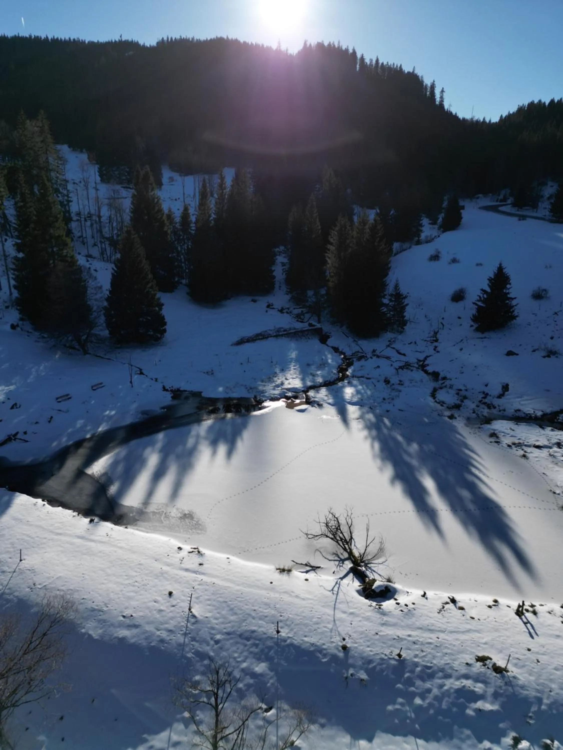 Natural landscape in Sporthostel Rössle