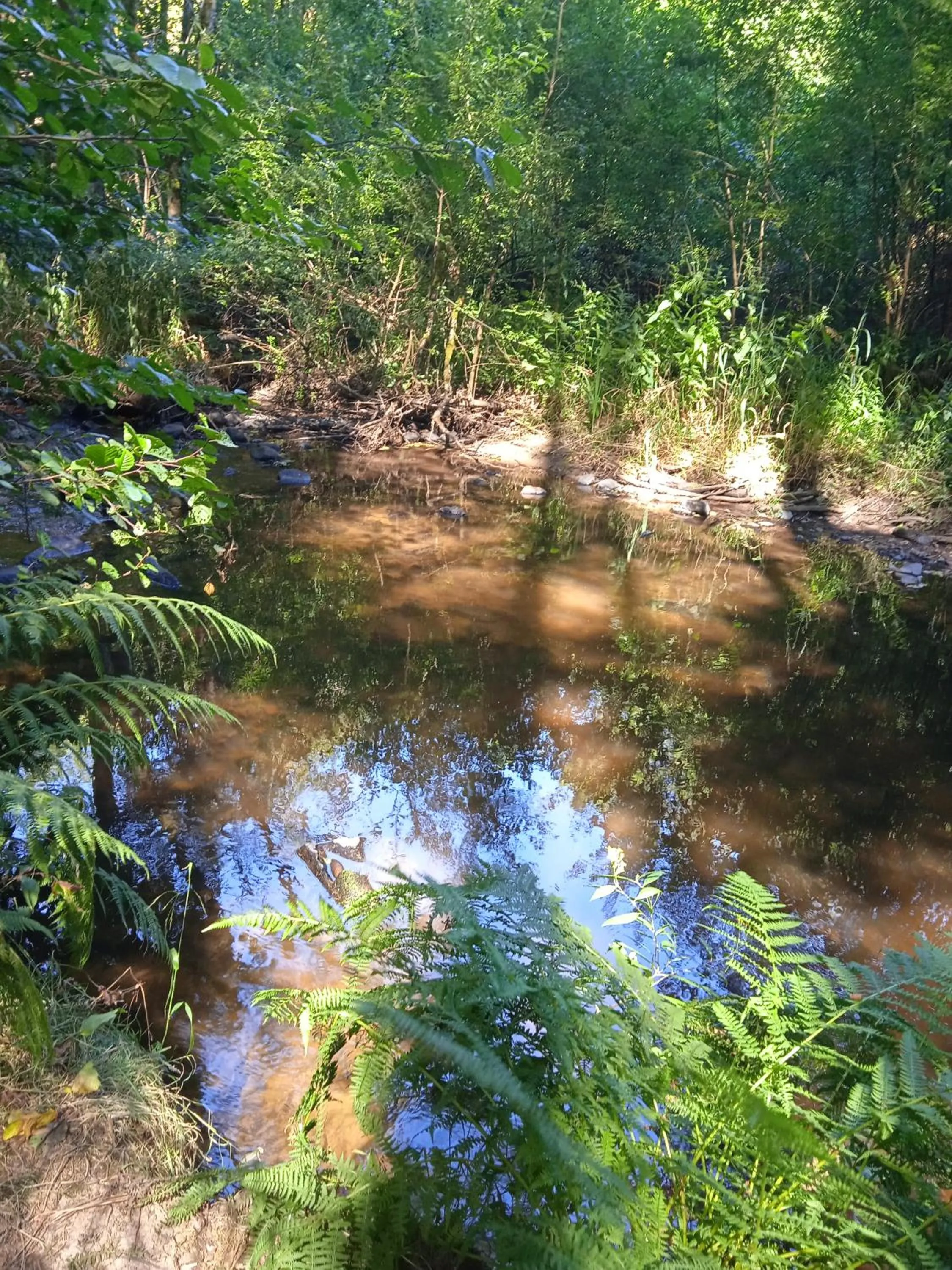 Nearby landmark in La Lisière du Morvan