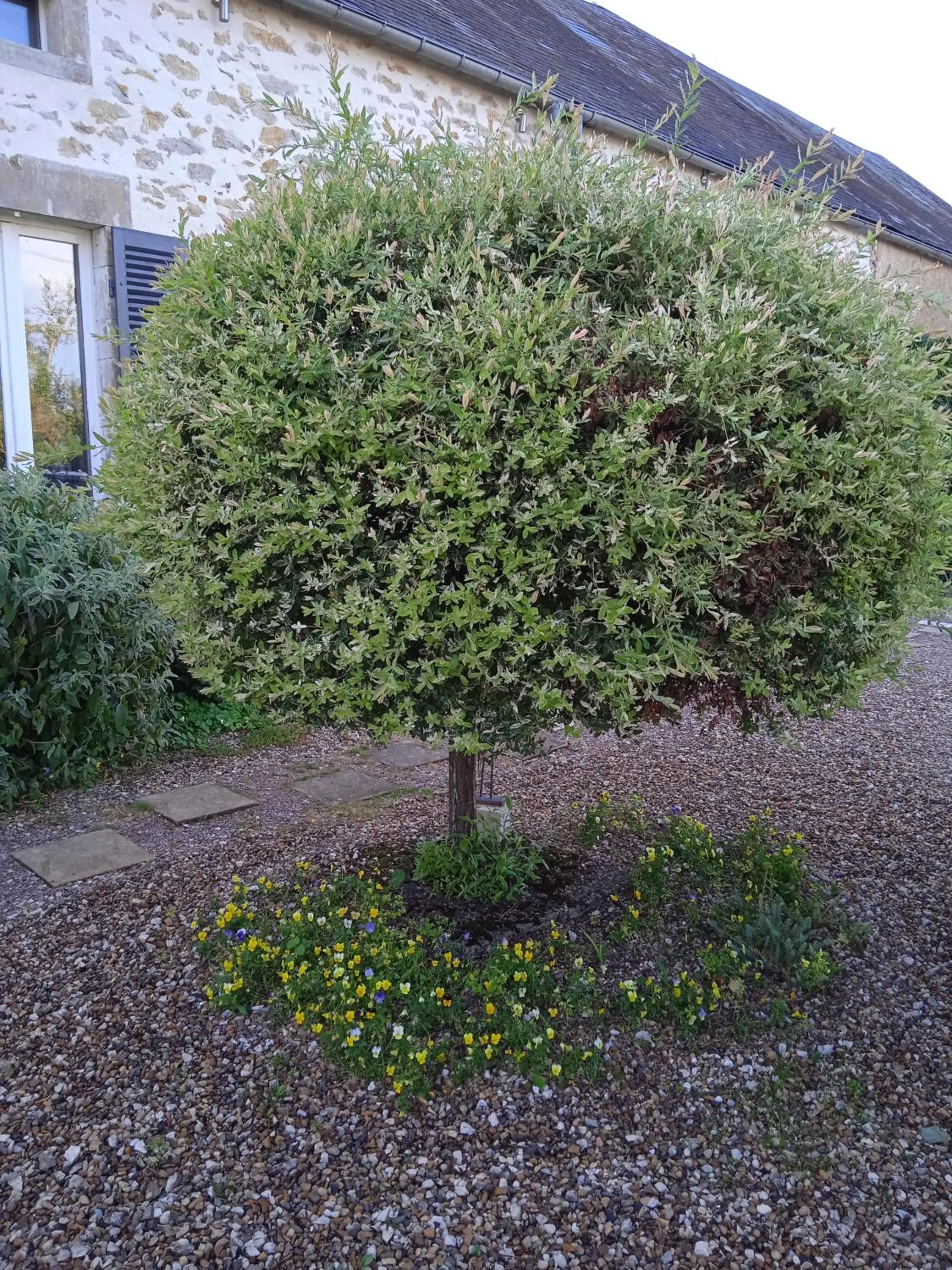 Garden in La Lisière du Morvan