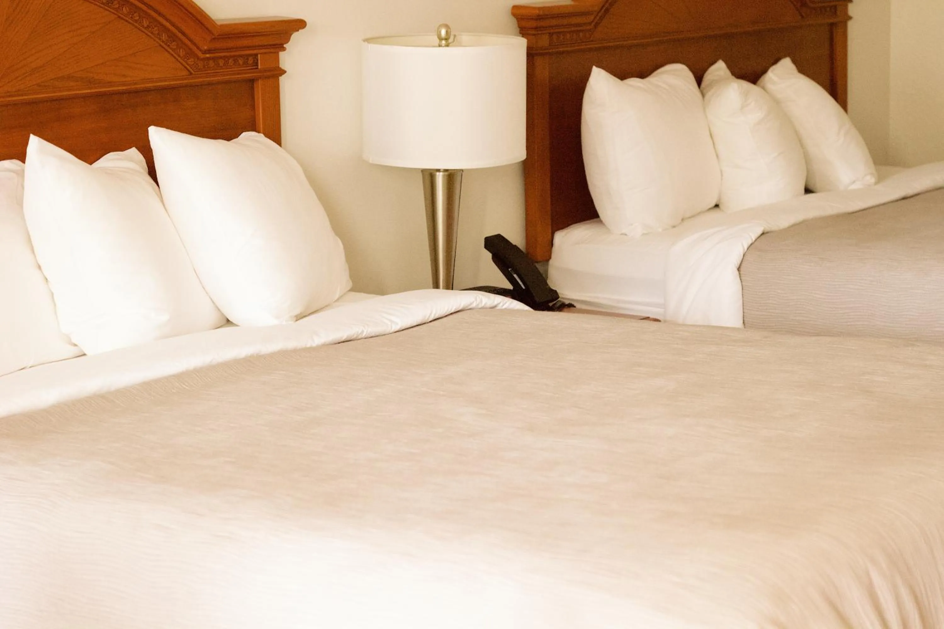 Bed in Quality Inn near Chattanooga South