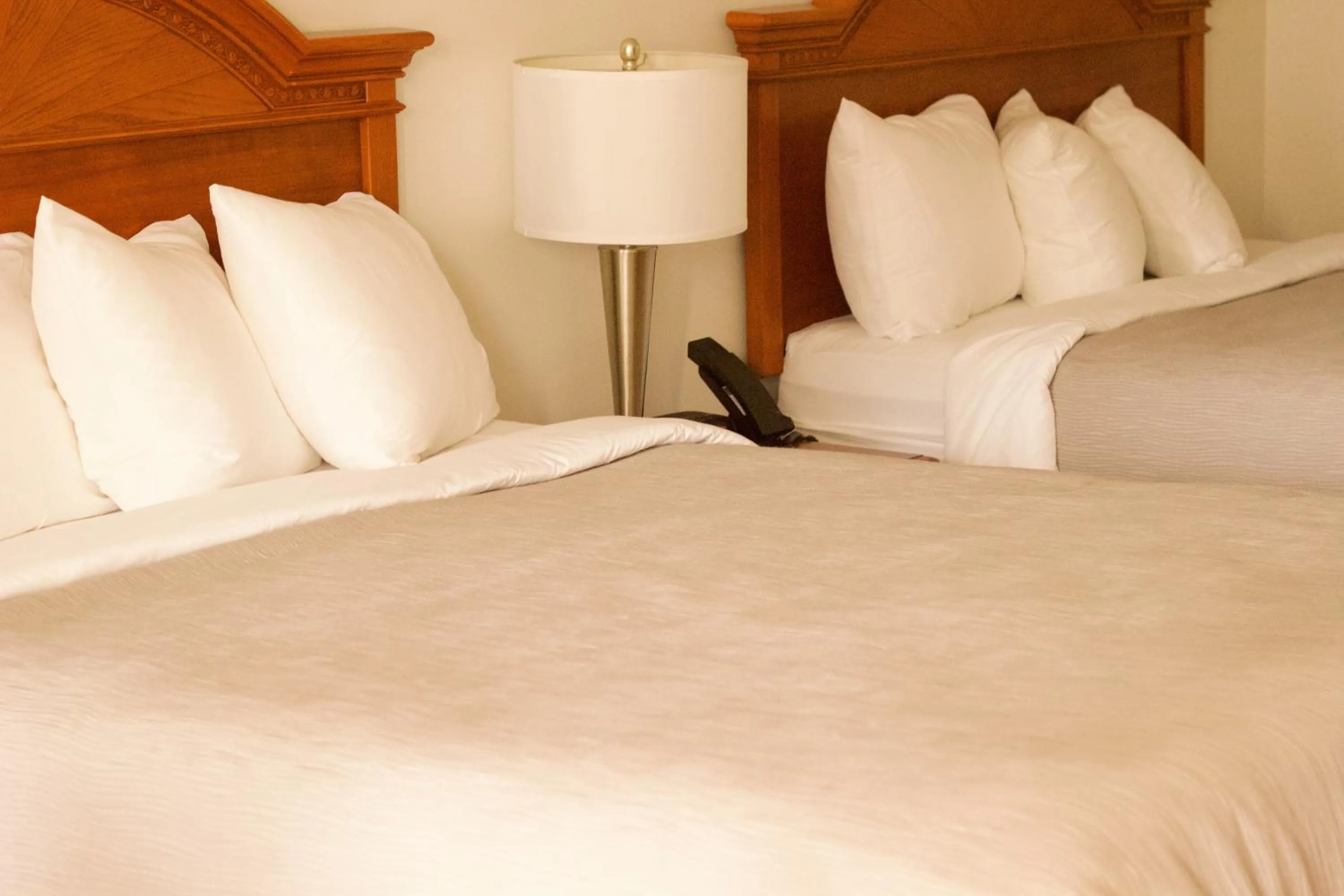 Bed in Quality Inn near Chattanooga South