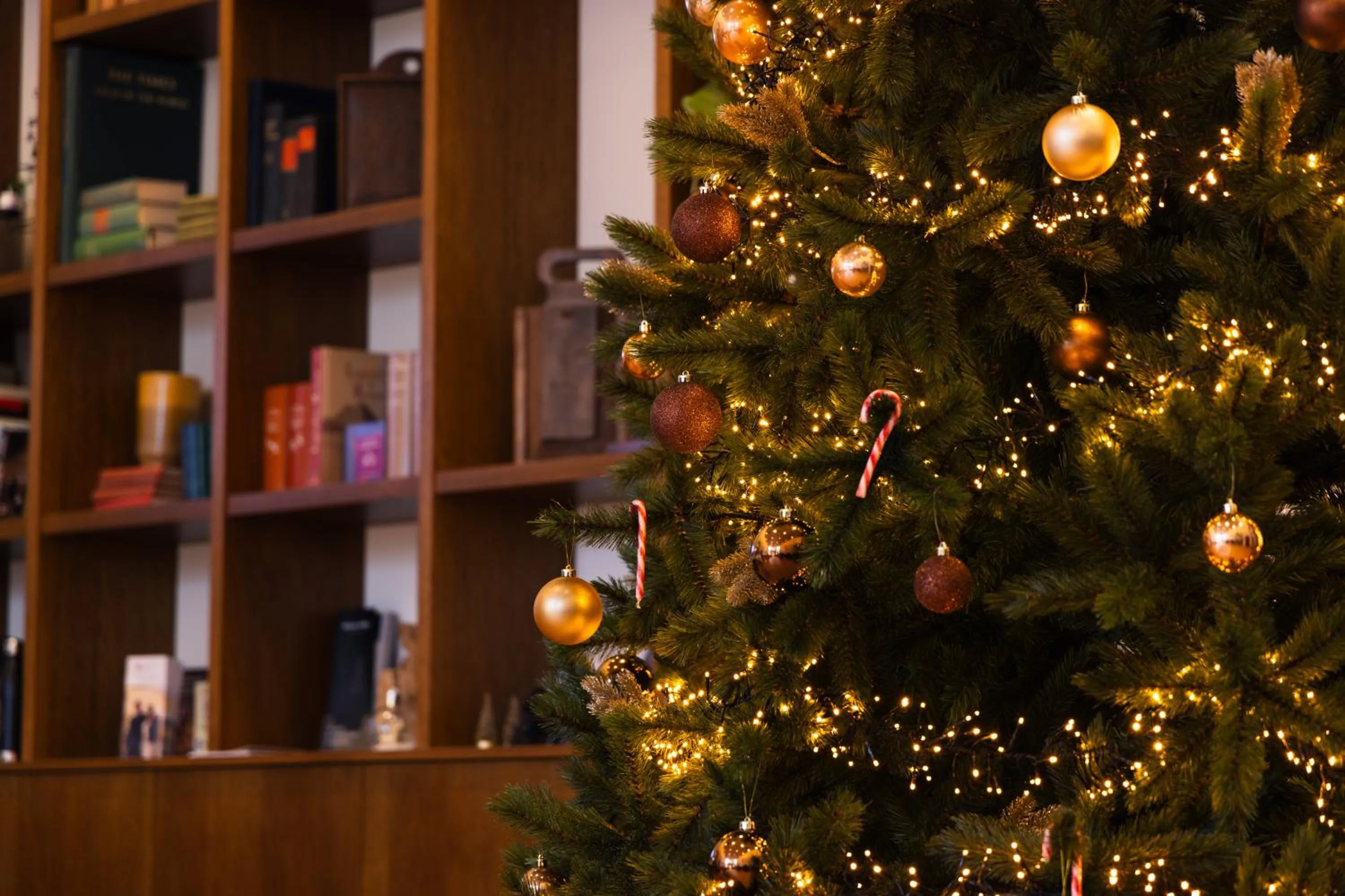 Lobby or reception in DoubleTree by Hilton Sittard