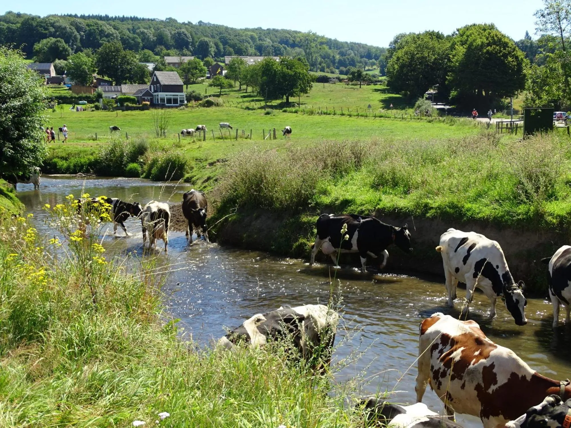 Day in DoubleTree by Hilton Sittard
