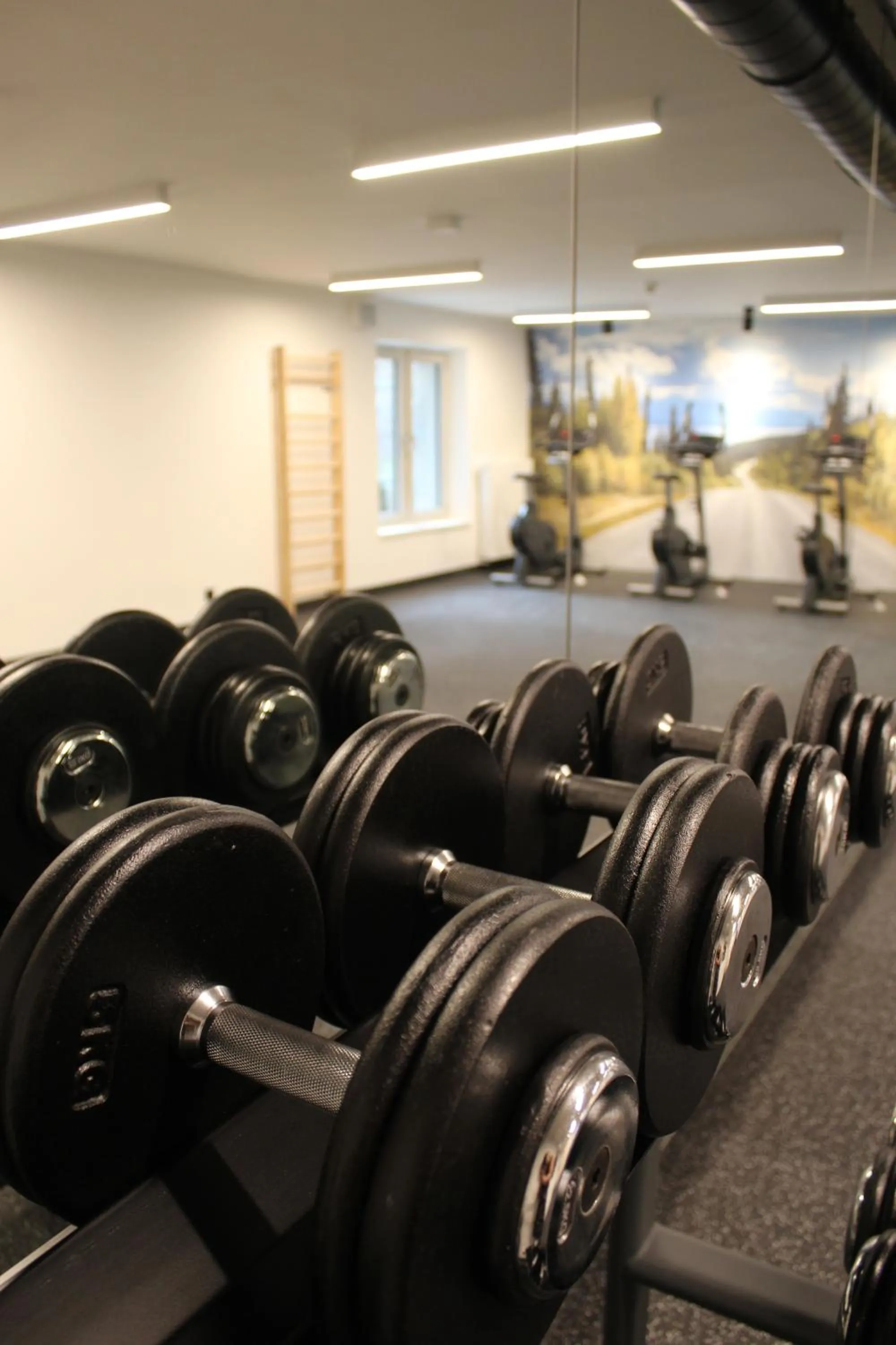 Fitness centre/facilities in Comfort Hotel Prague City