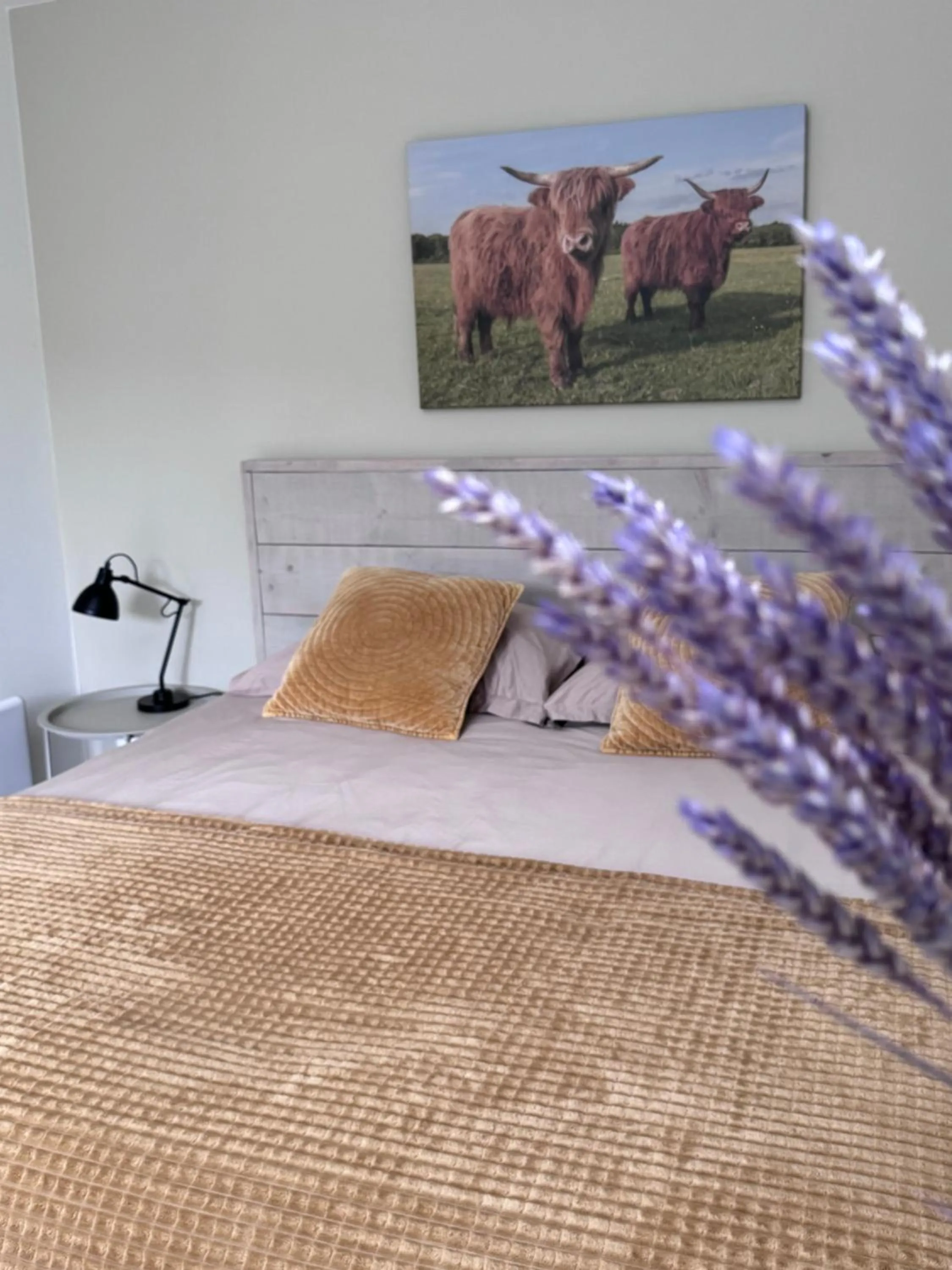 Bed in De Burcht-Drenthe