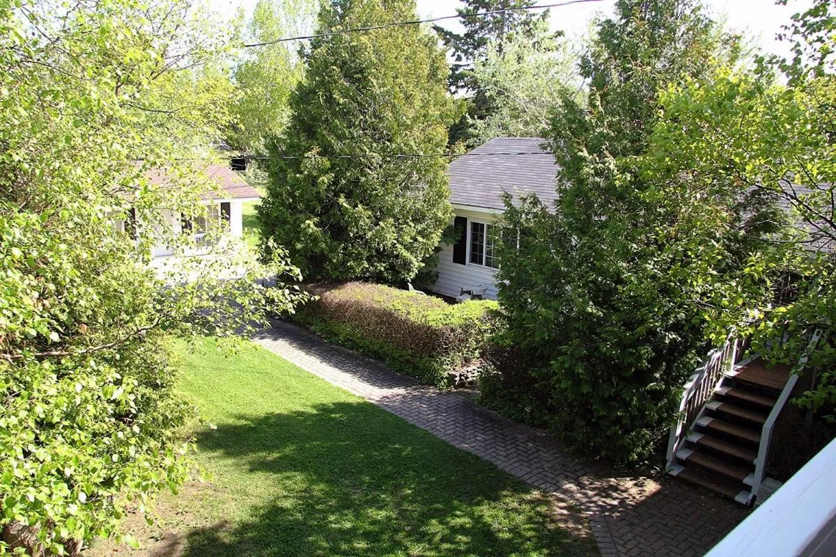 View (from property/room) in Coach House Inn