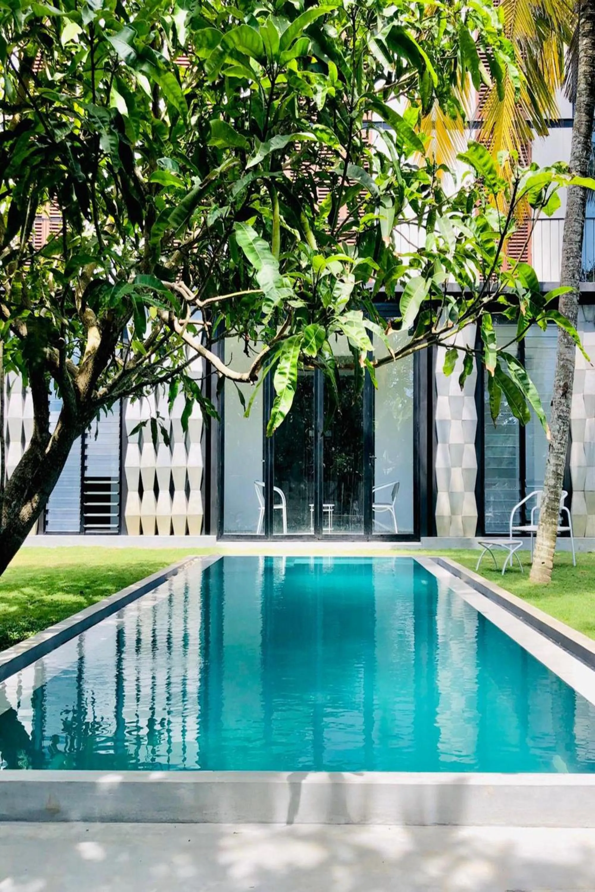 Swimming pool in Colive Ahangama