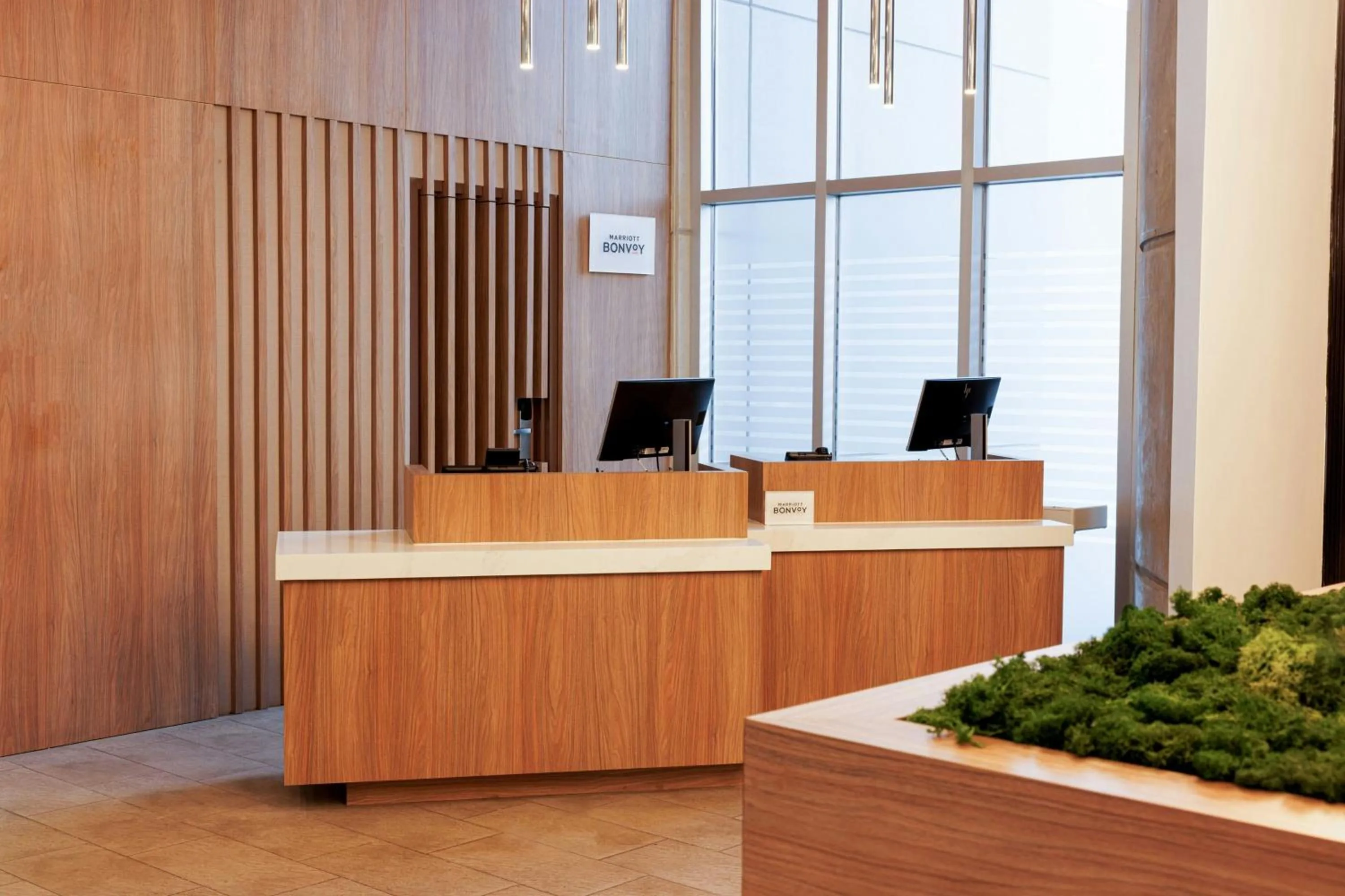 Lobby or reception in Courtyard by Marriott Mexicali